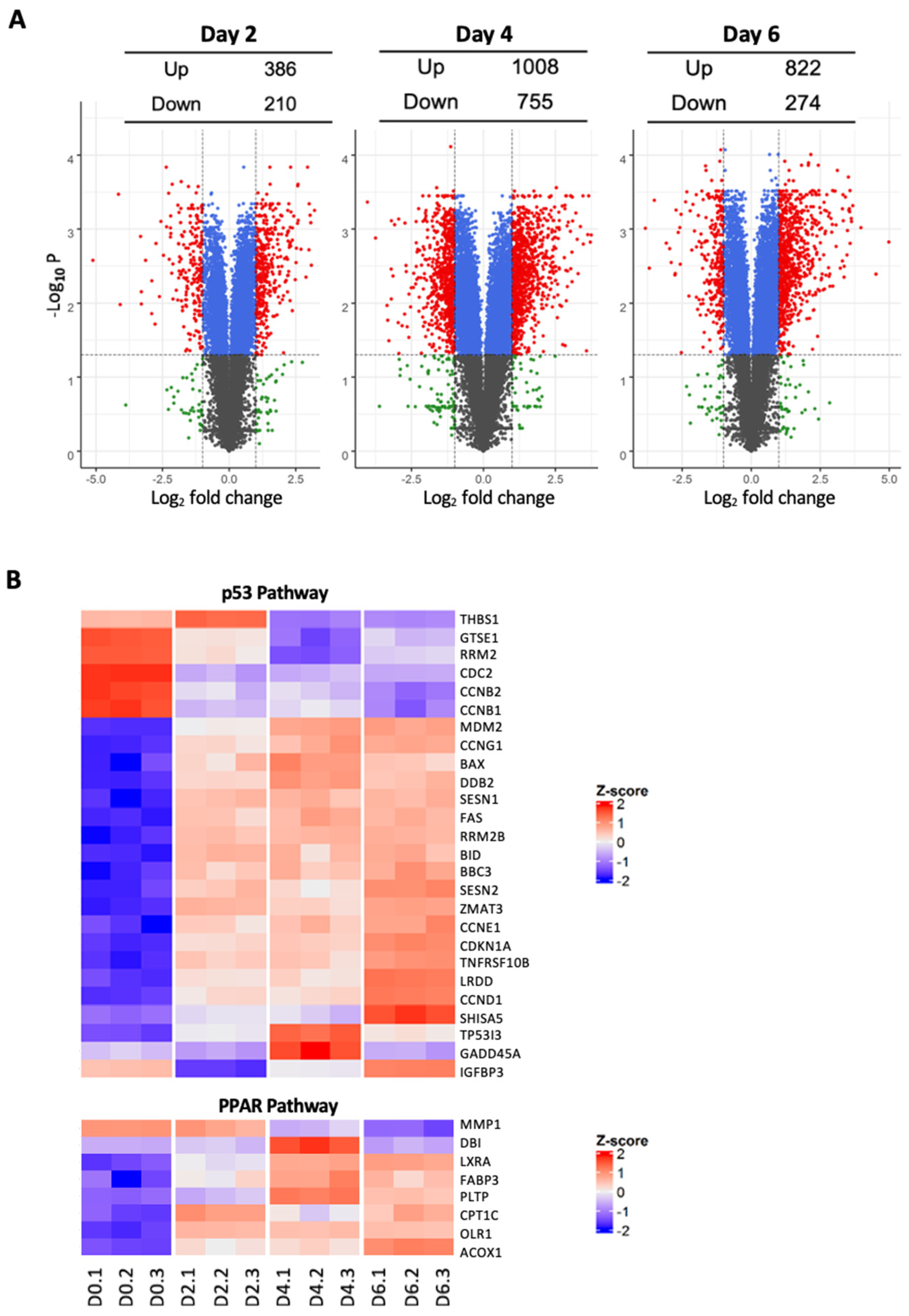 Cancers 14 00282 g004