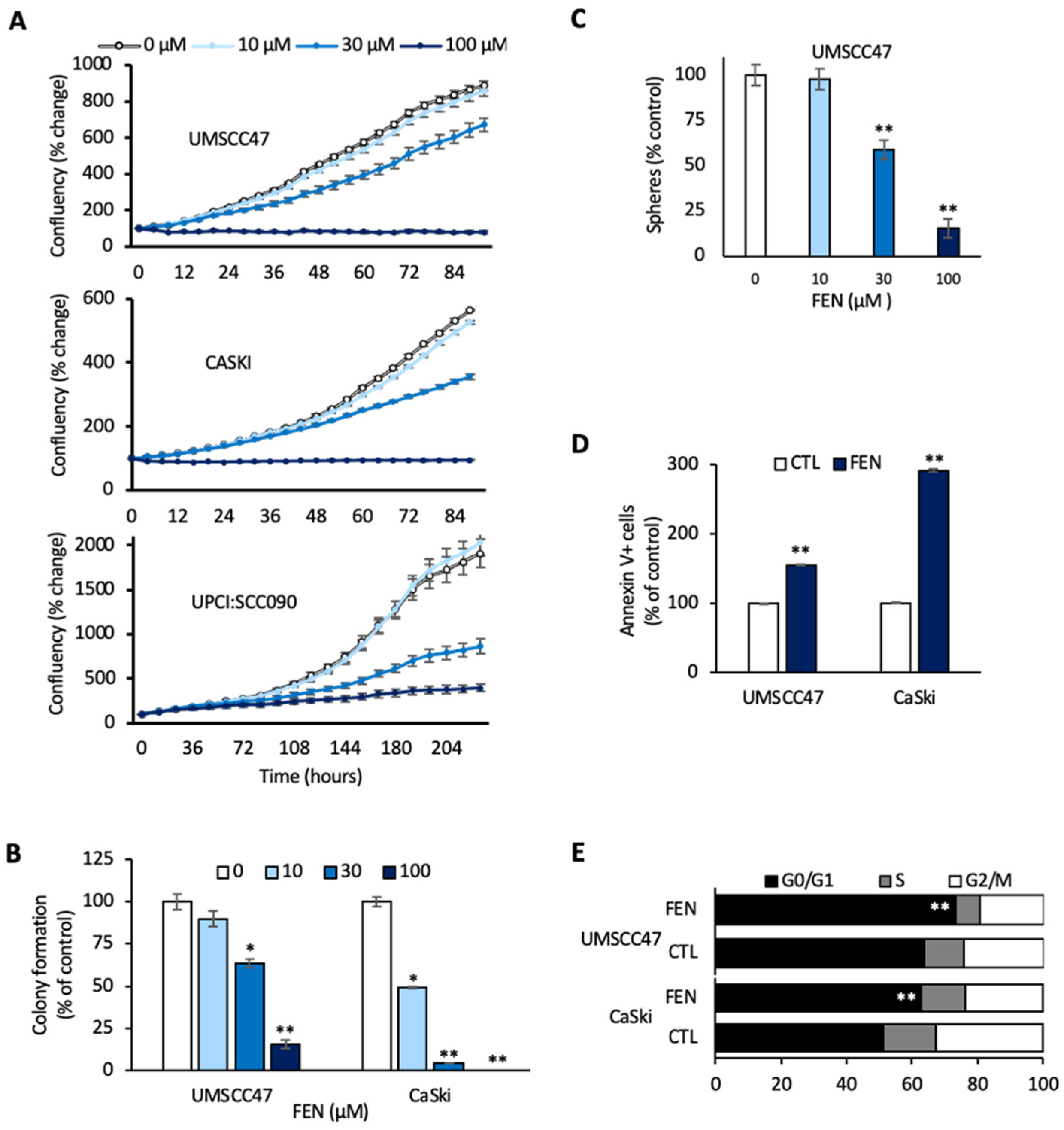Cancers 14 00282 g005