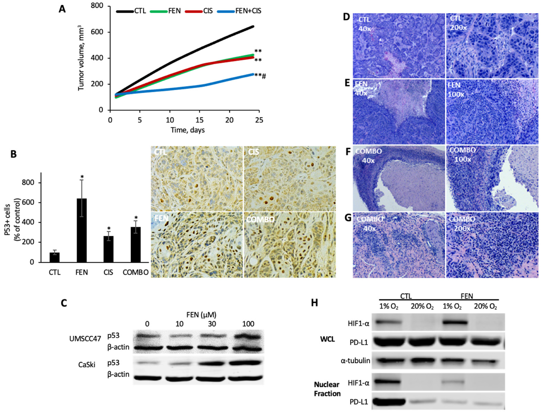 Cancers 14 00282 g006