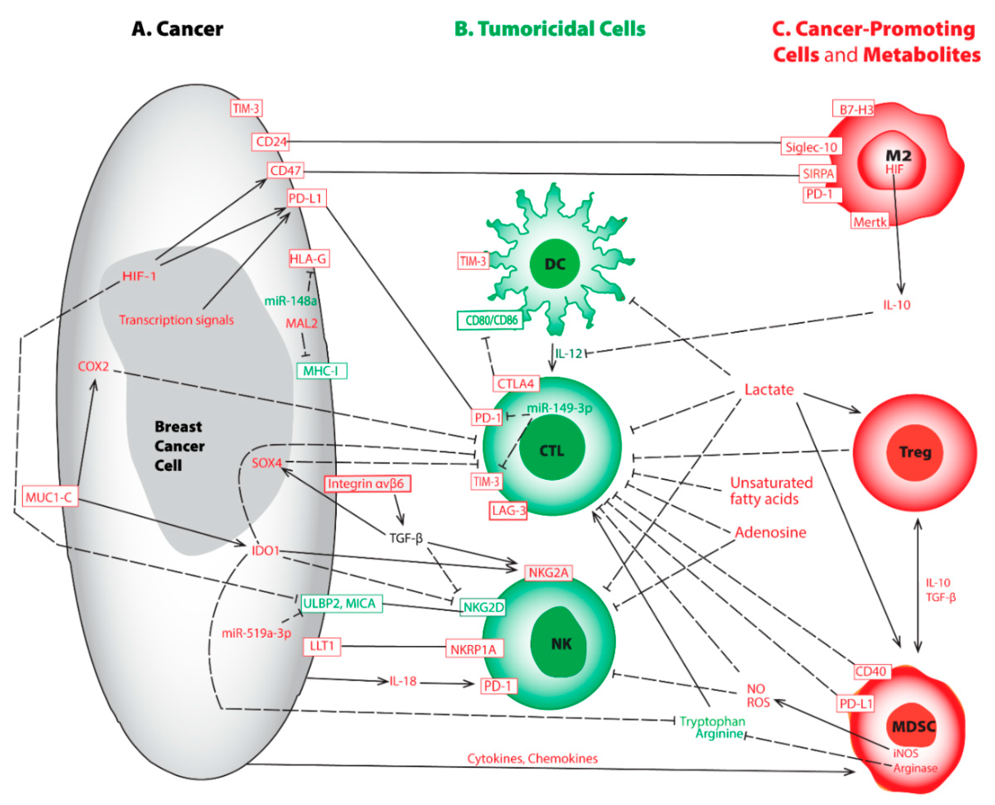 Cancers 14 00285 g001 Cancers 14 00285 g001