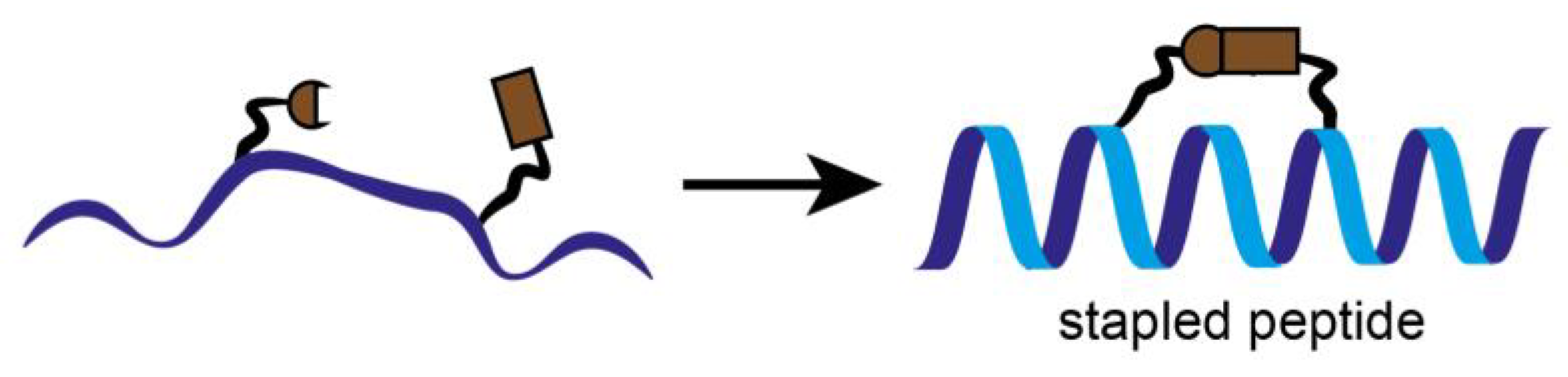 Cancers 14 00293 g005