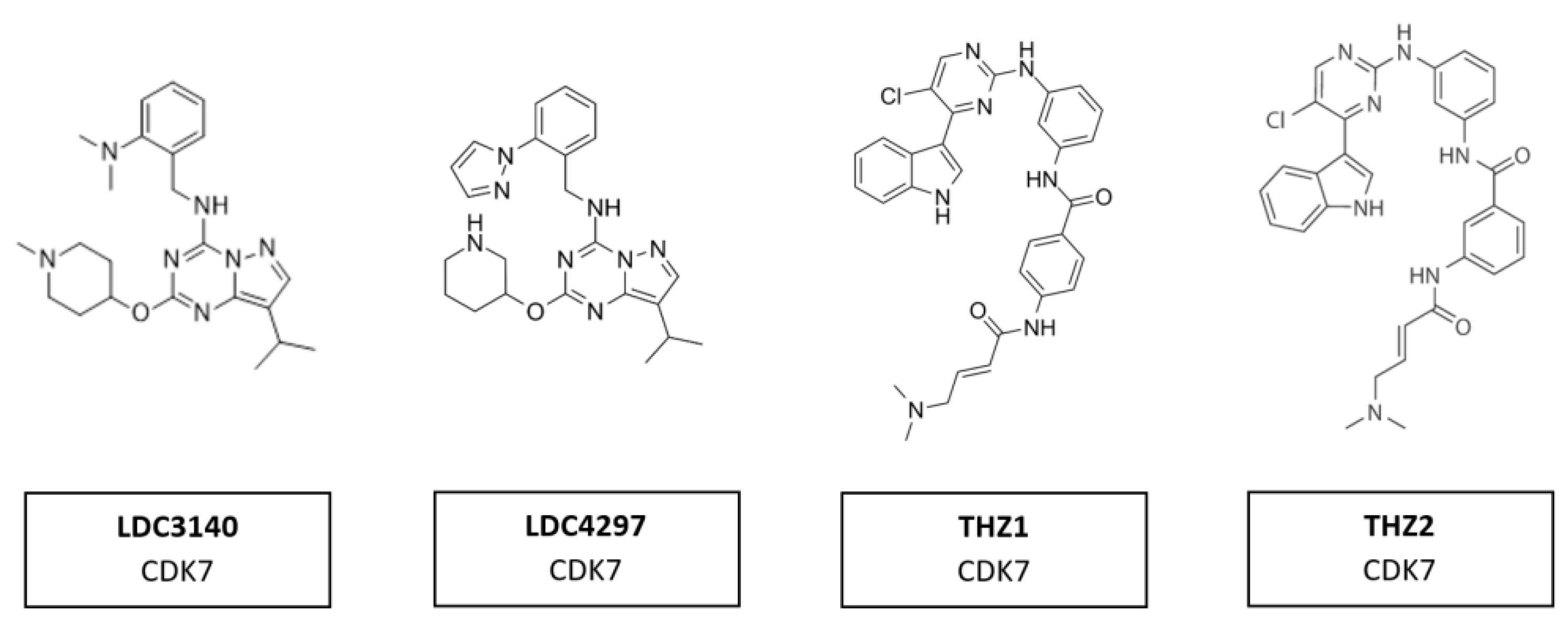 Cancers 14 00293 g013