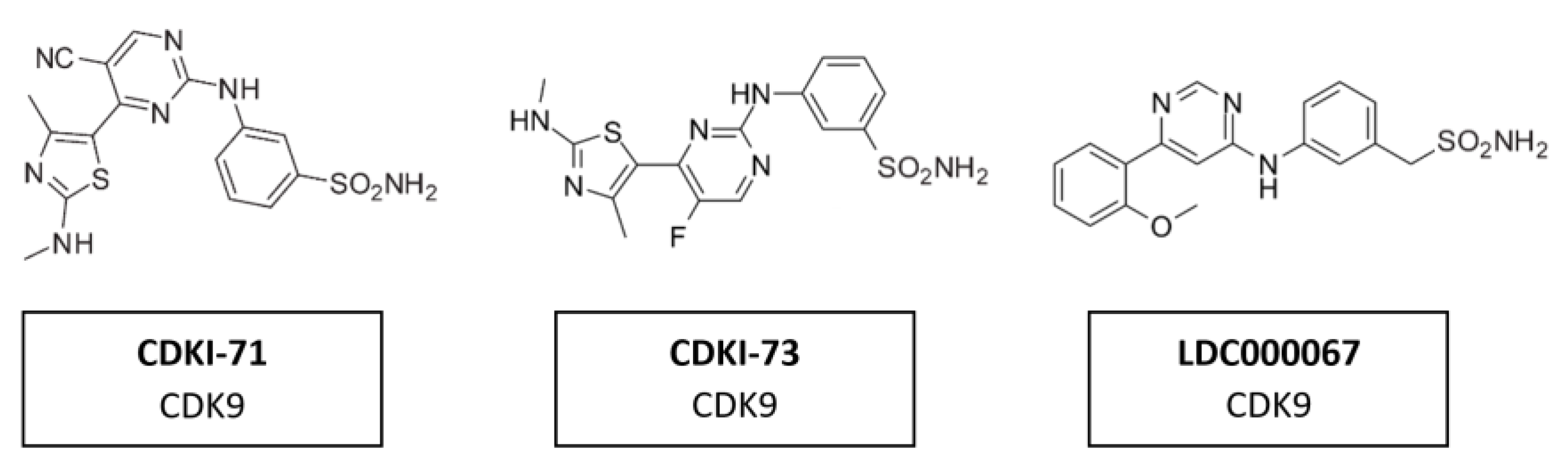 Cancers 14 00293 g016