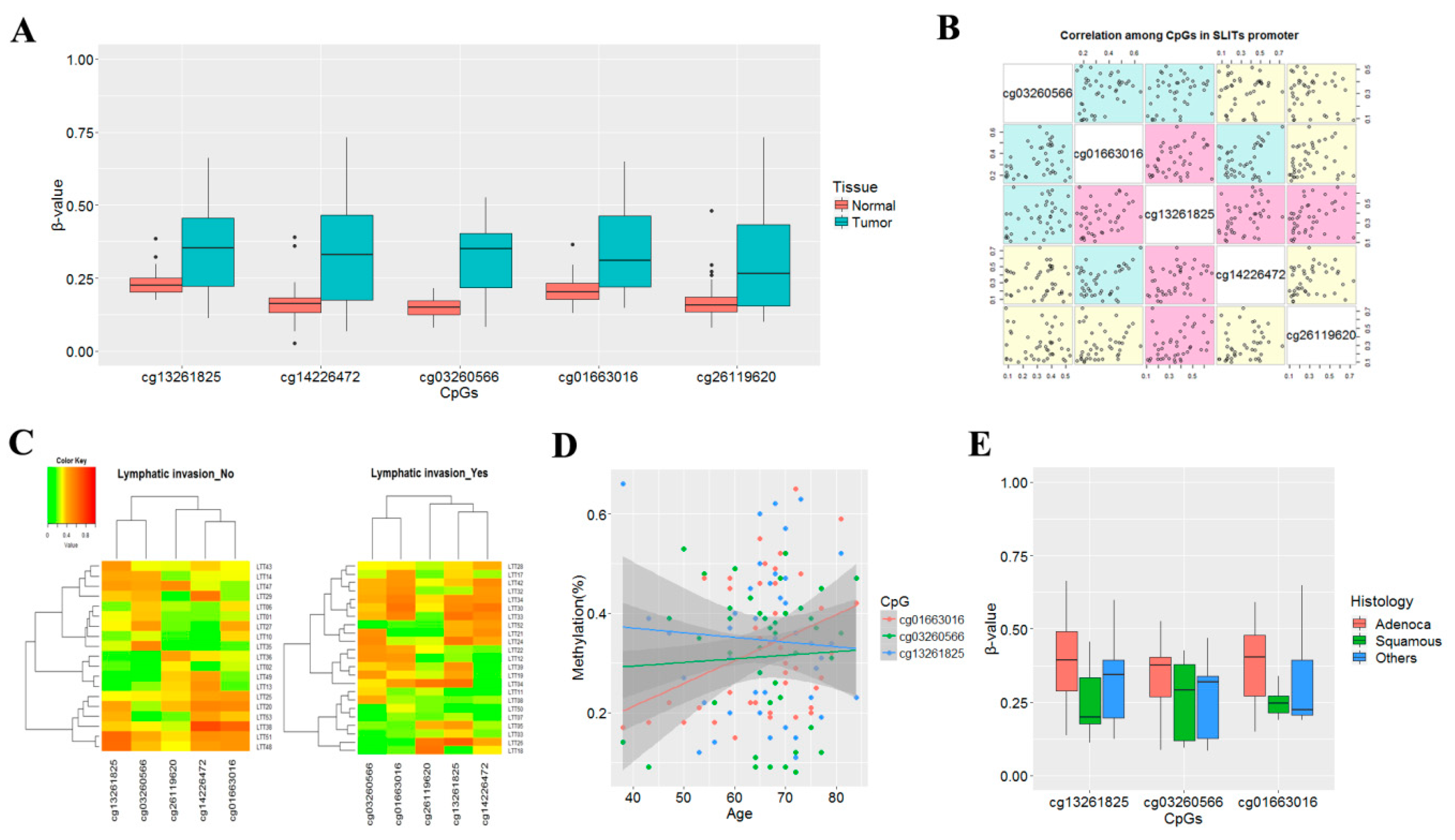 Cancers 14 00296 g001