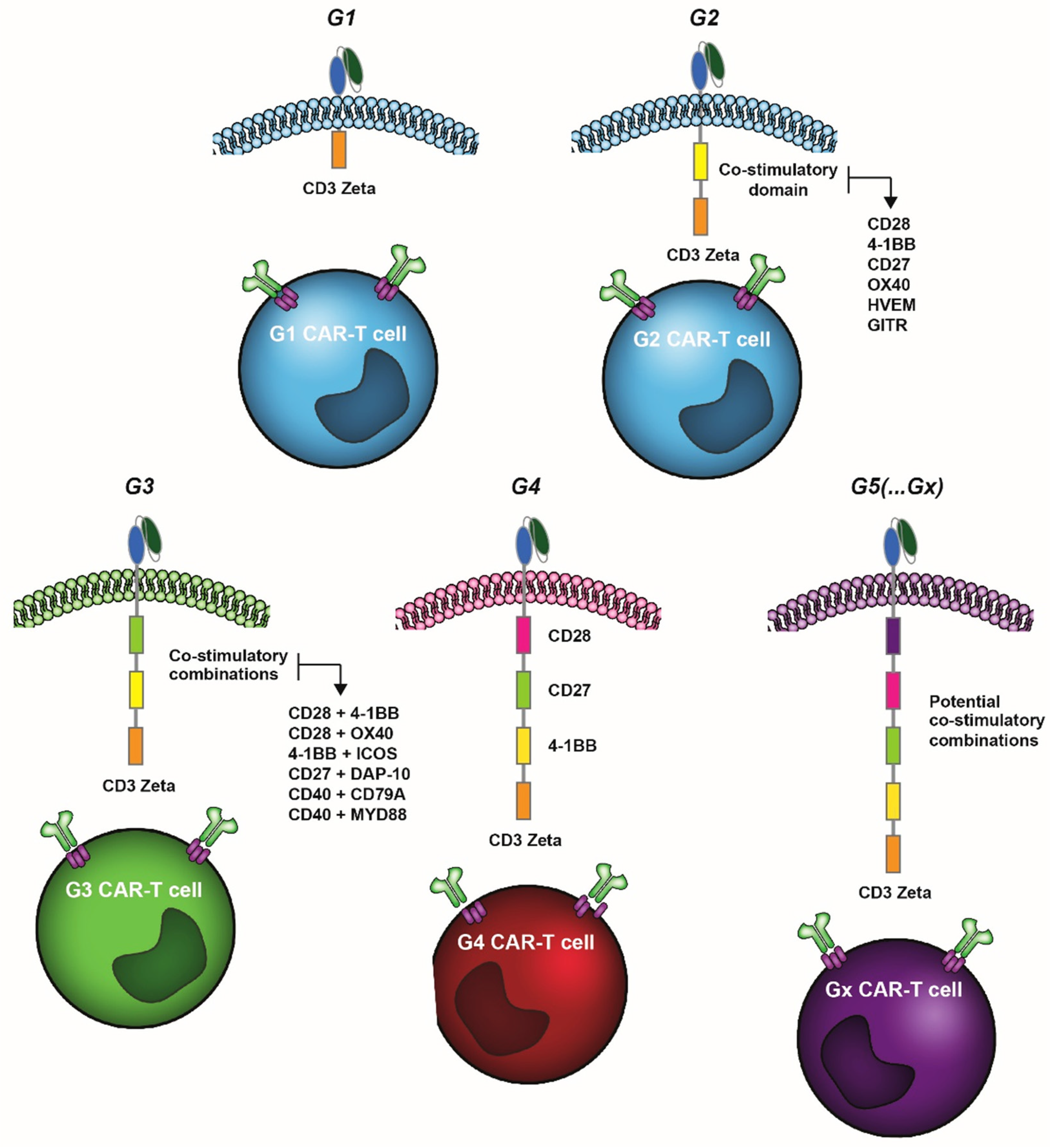 Cancers 14 00299 g001