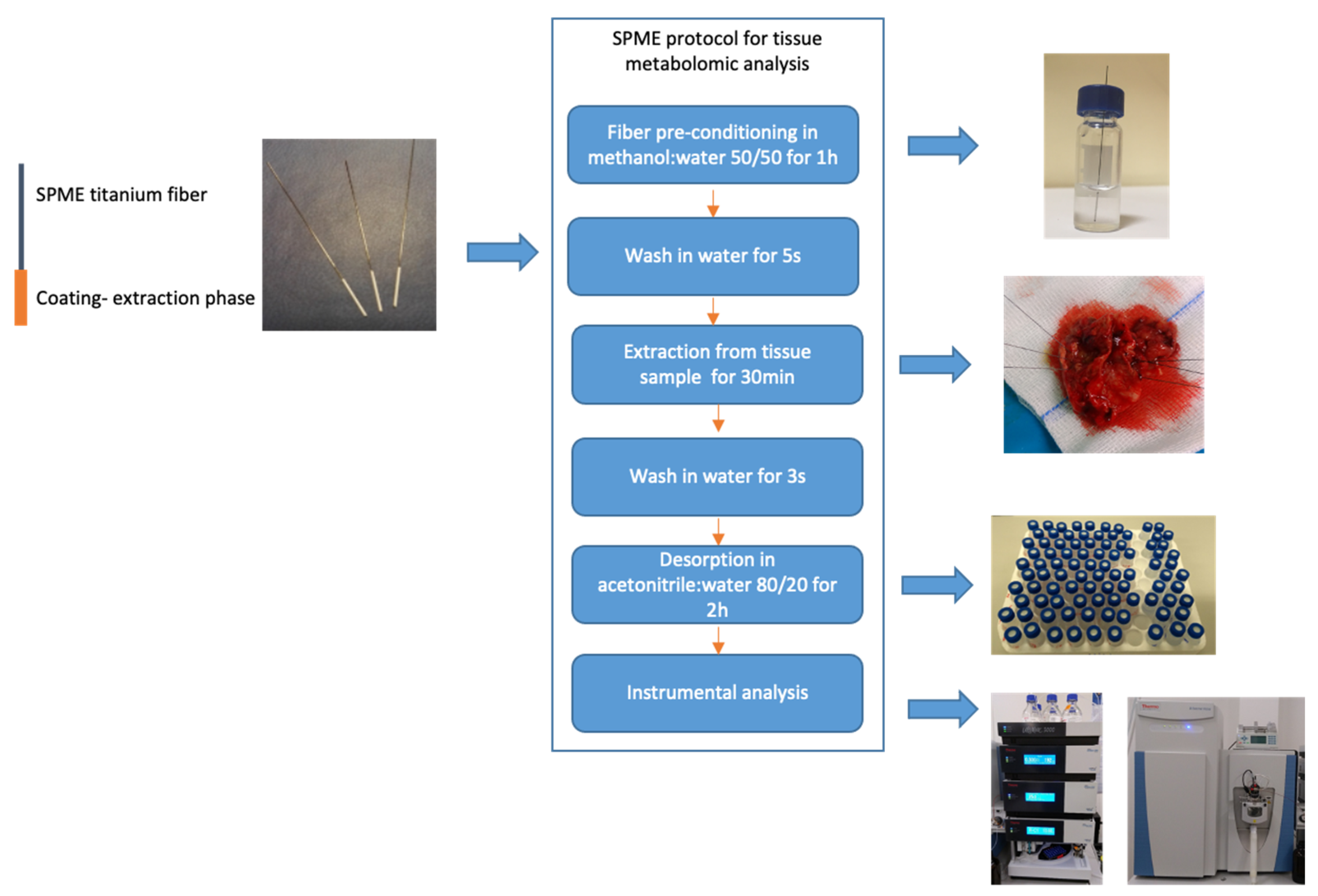 Cancers 14 00312 g001 Cancers 14 00312 g001