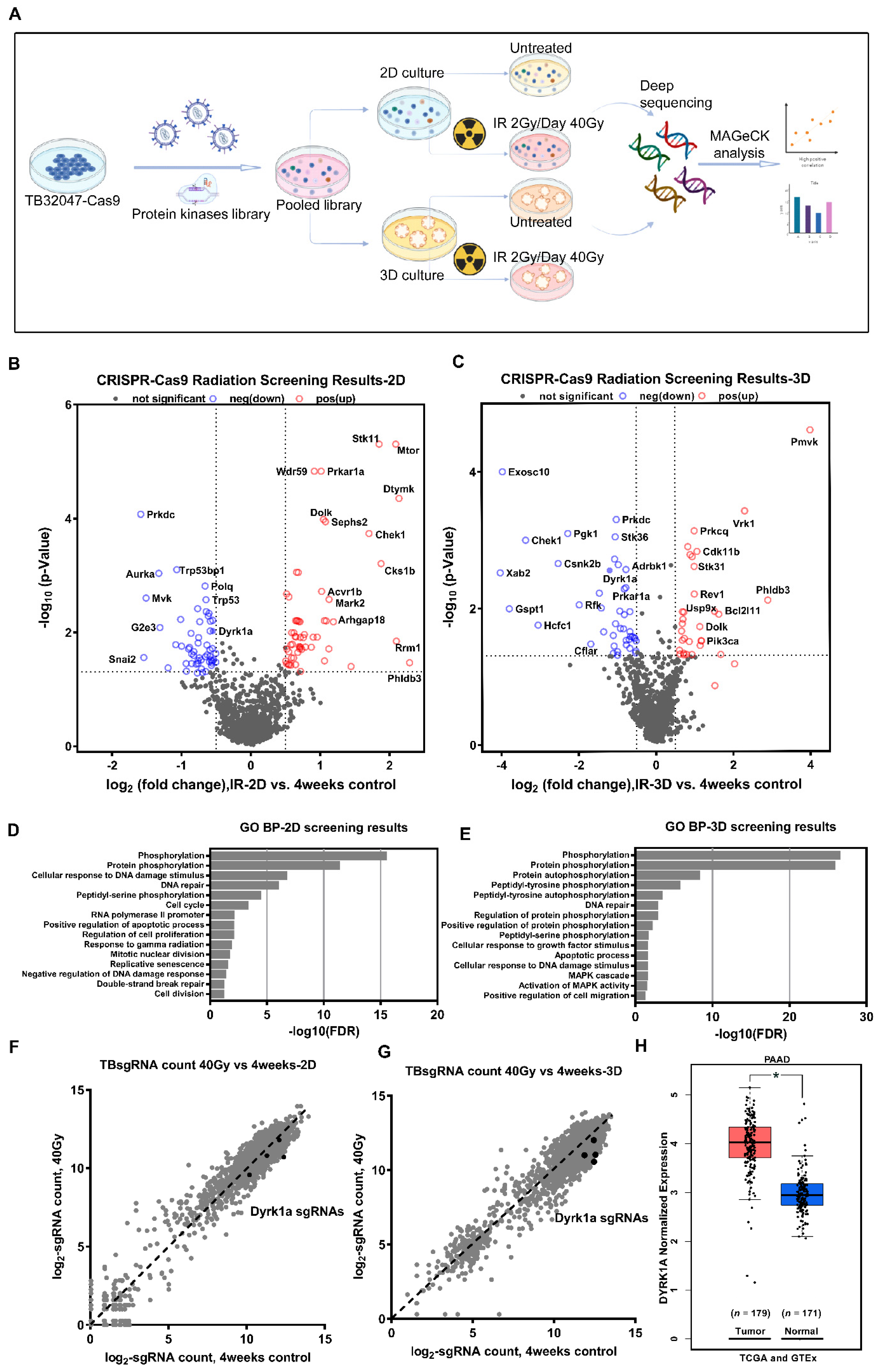 Cancers 14 00326 g001