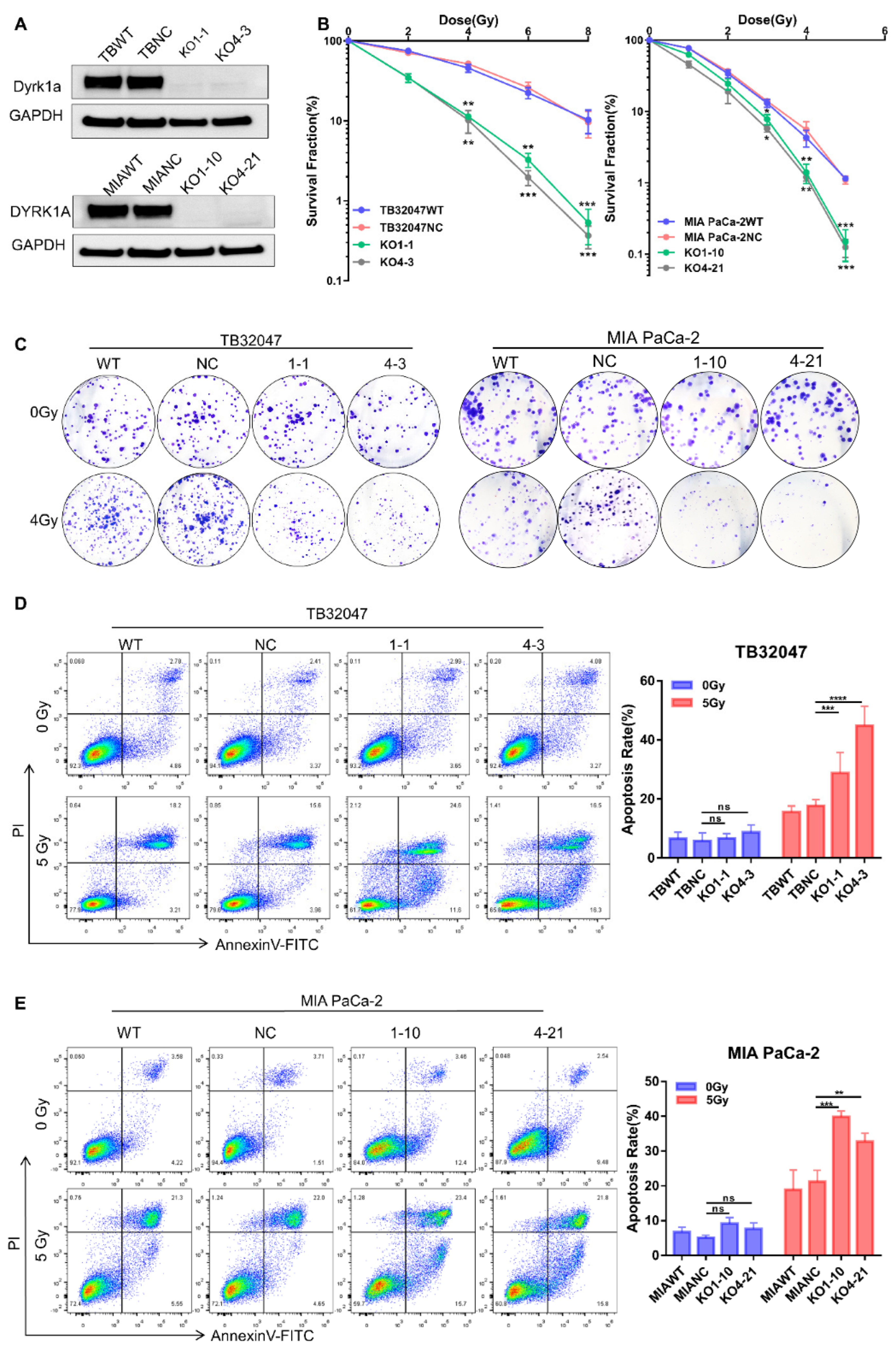 Cancers 14 00326 g002