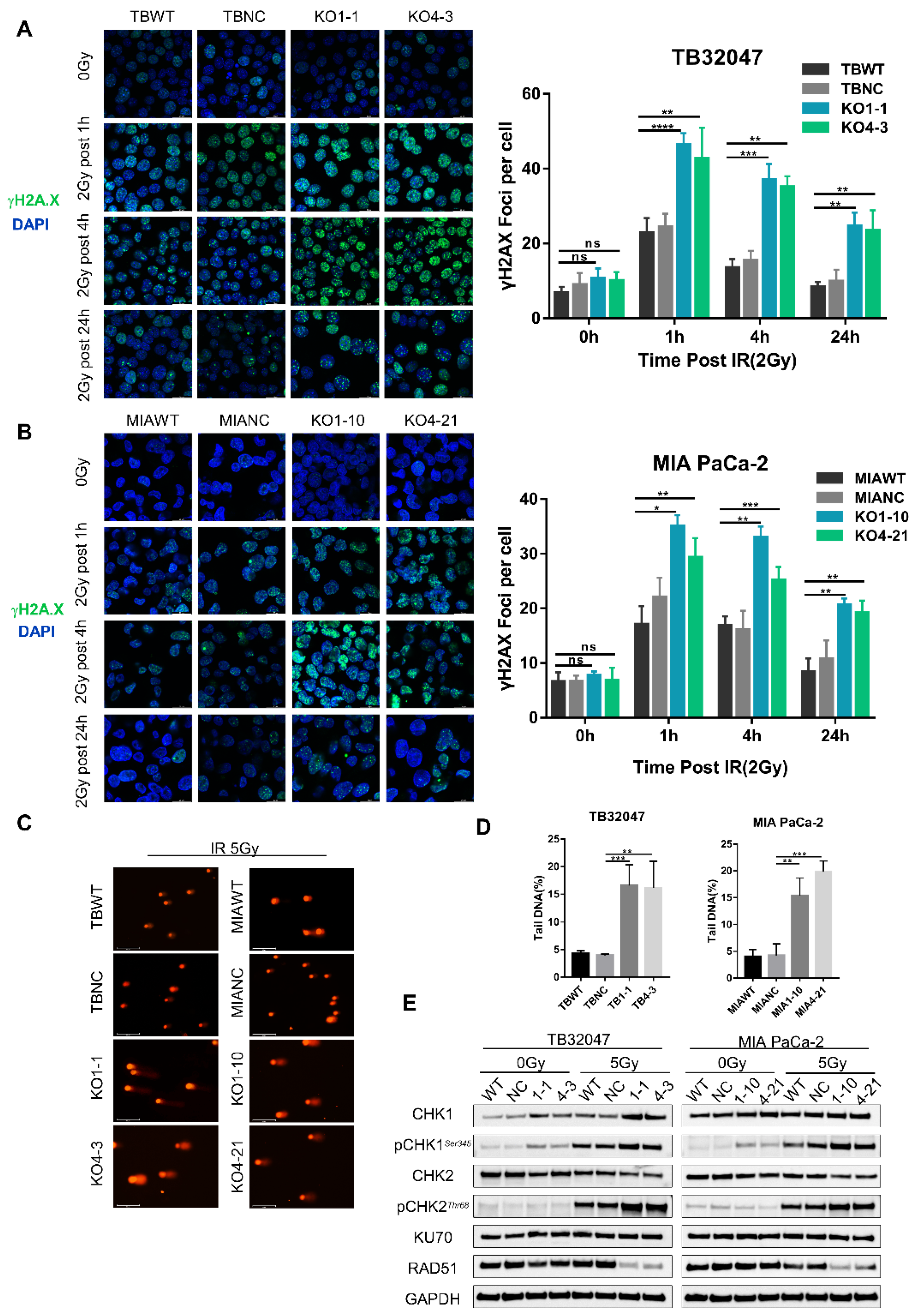 Cancers 14 00326 g003