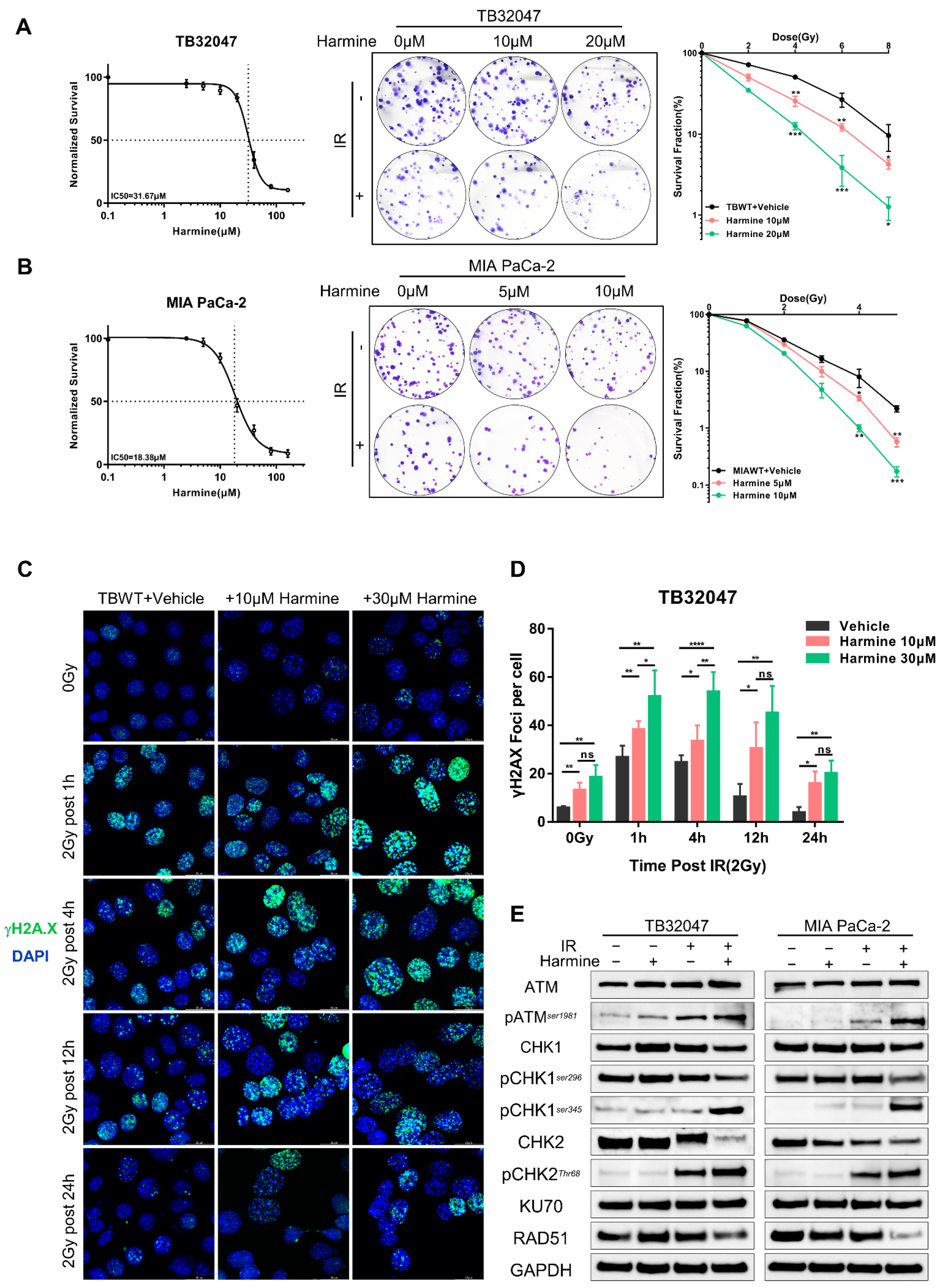 Cancers 14 00326 g004