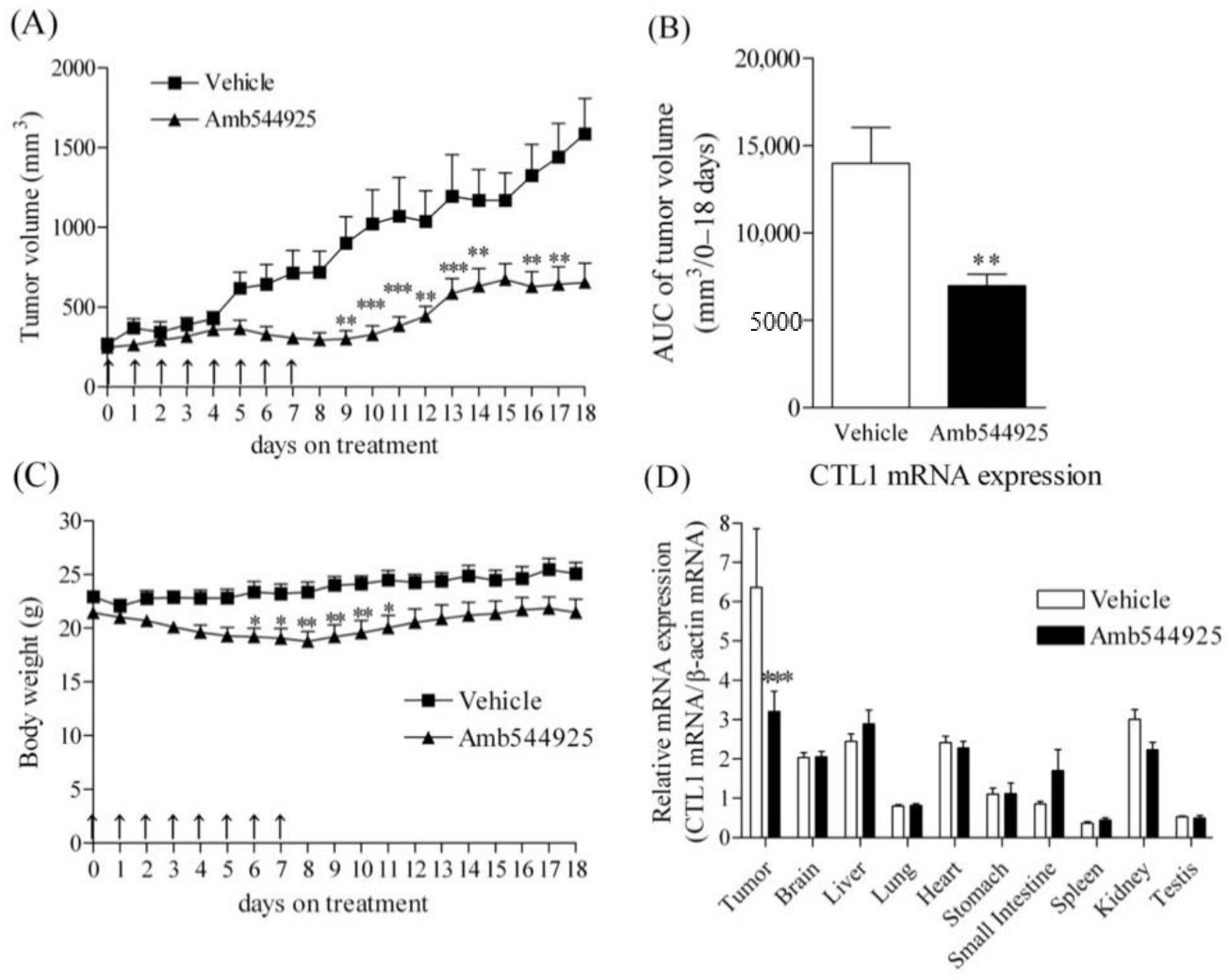 Cancers 14 00329 g007 Cancers 14 00329 g007