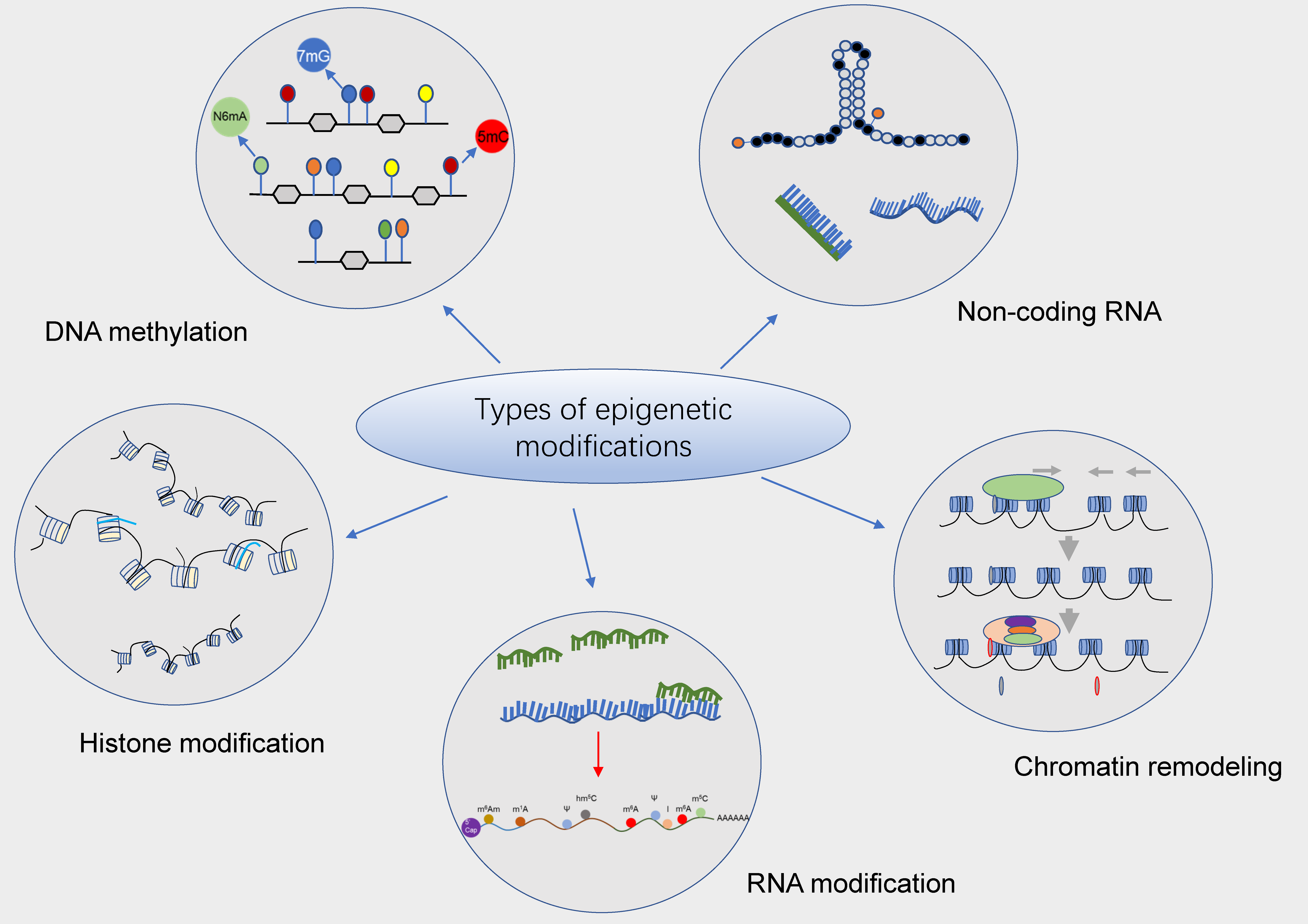 Cancers 14 00332 g001