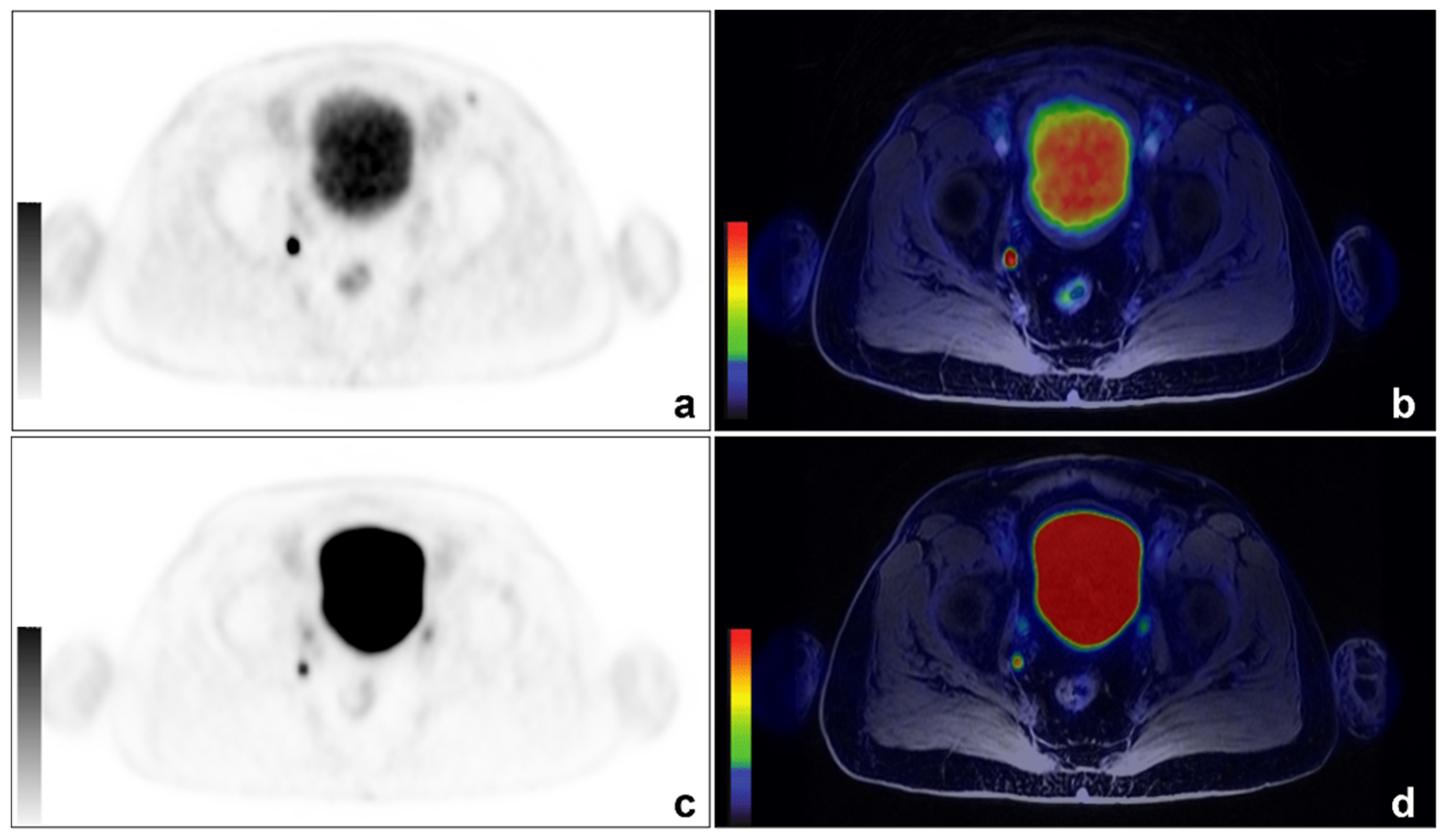 Cancers 14 00334 g001