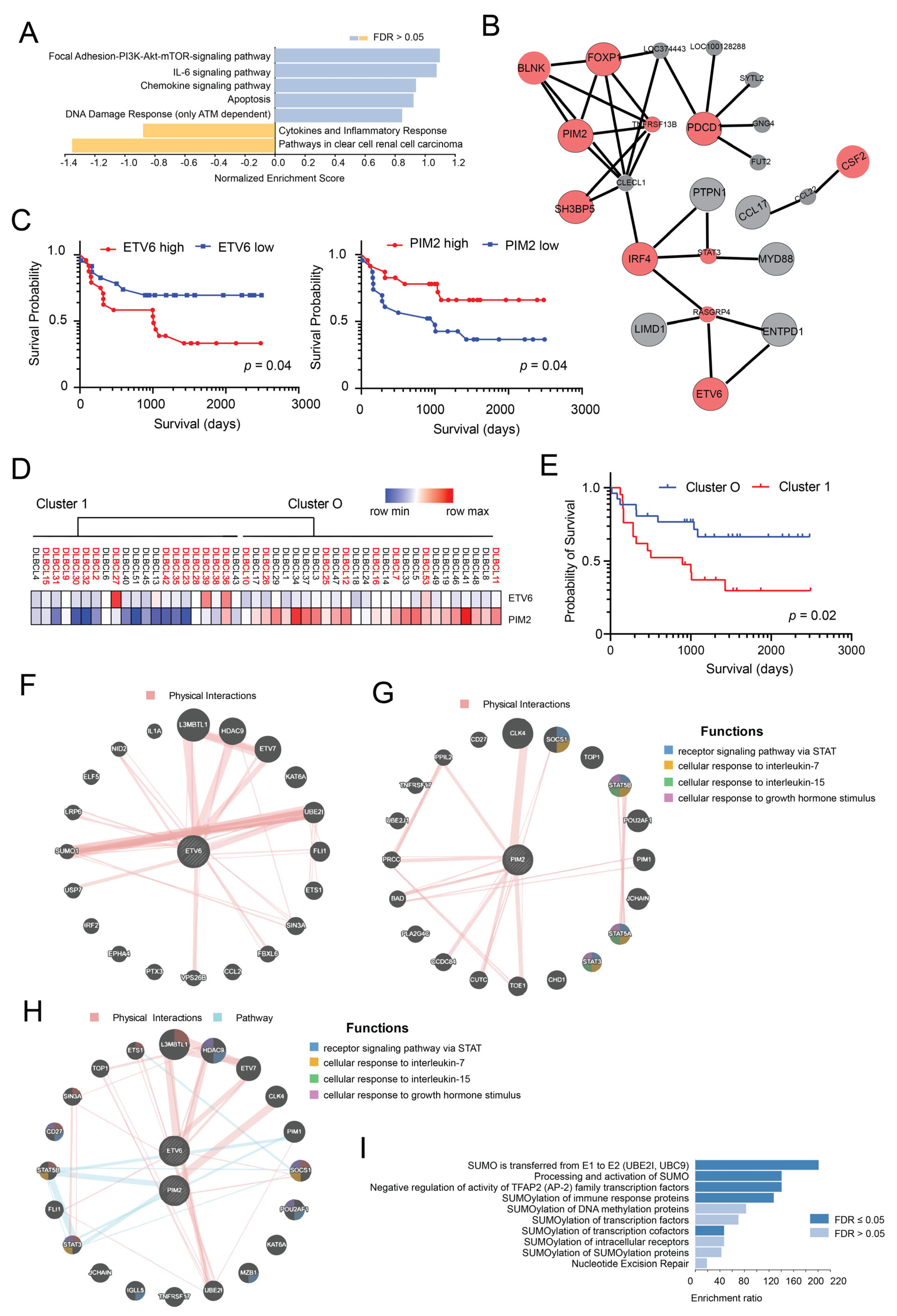 Cancers 14 00338 g002 Cancers 14 00338 g002