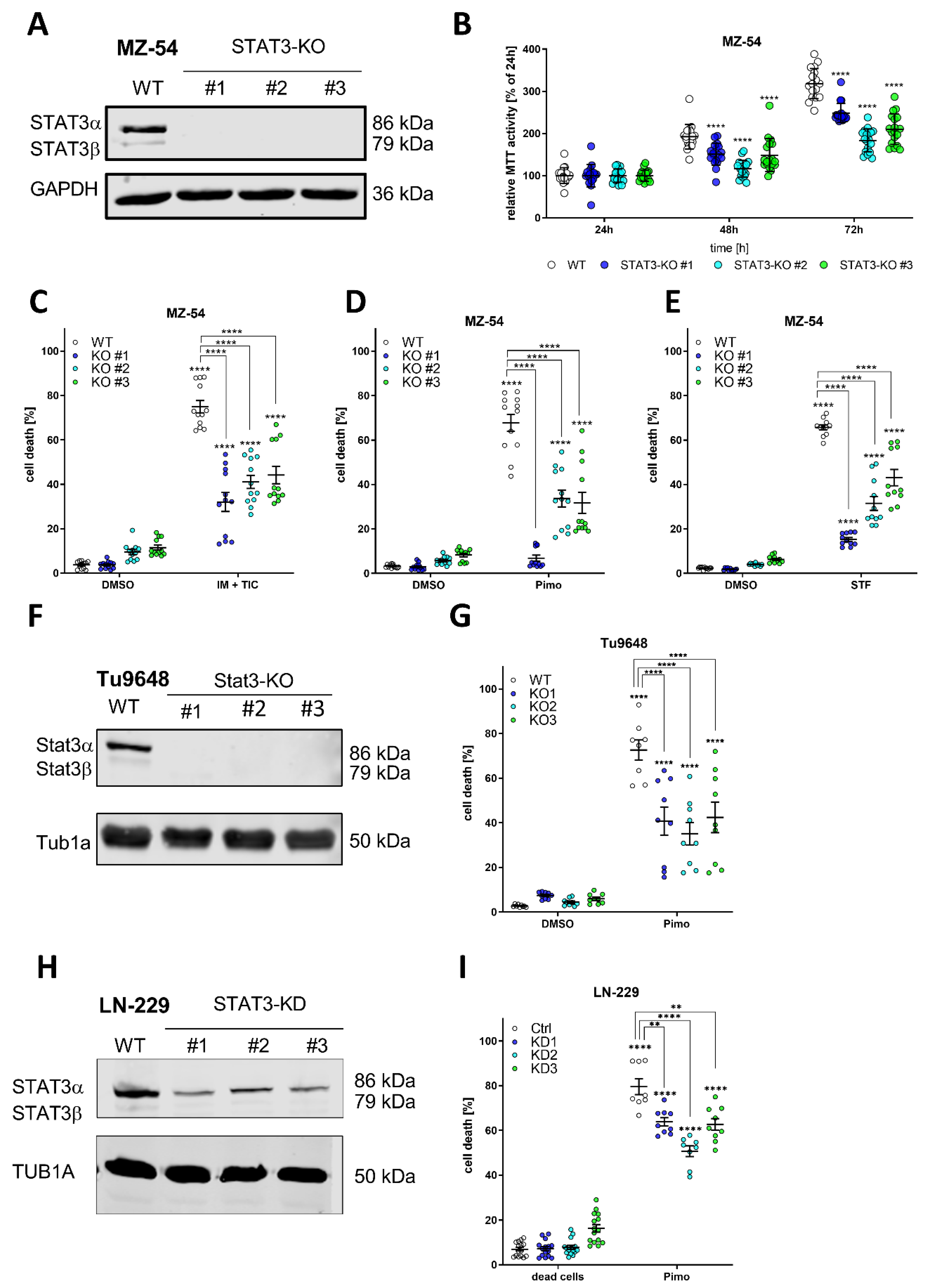 Cancers 14 00339 g001