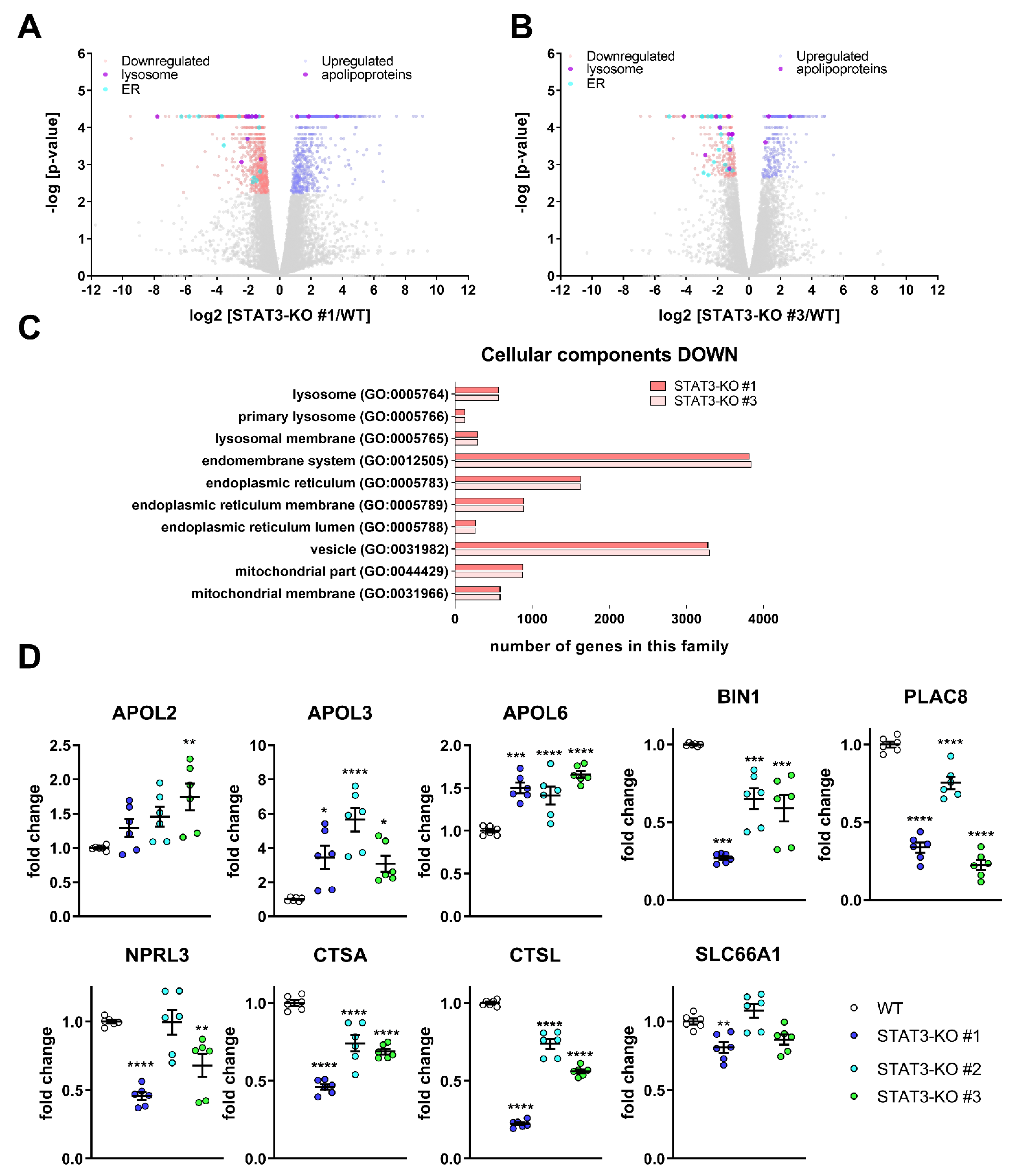 Cancers 14 00339 g003