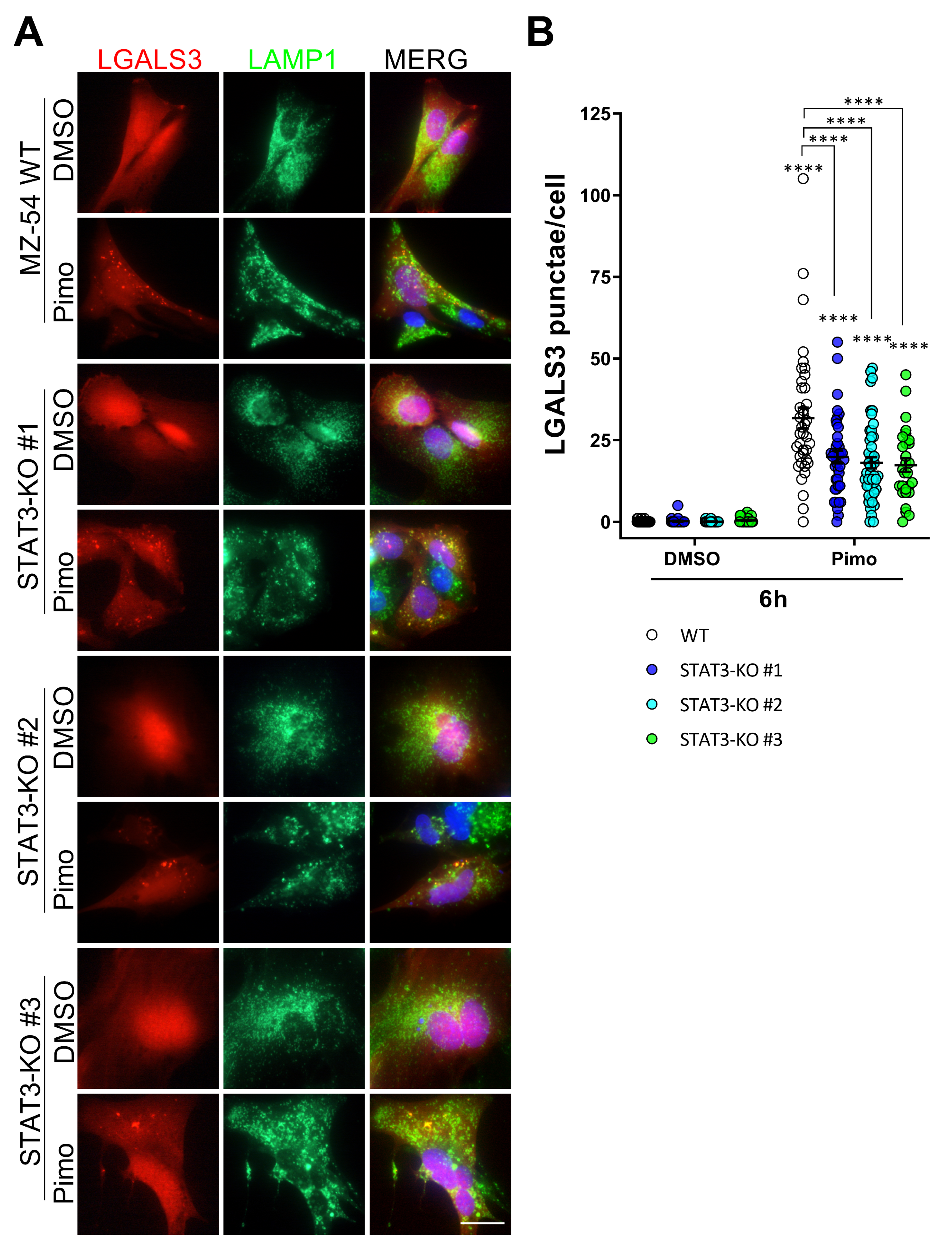 Cancers 14 00339 g005