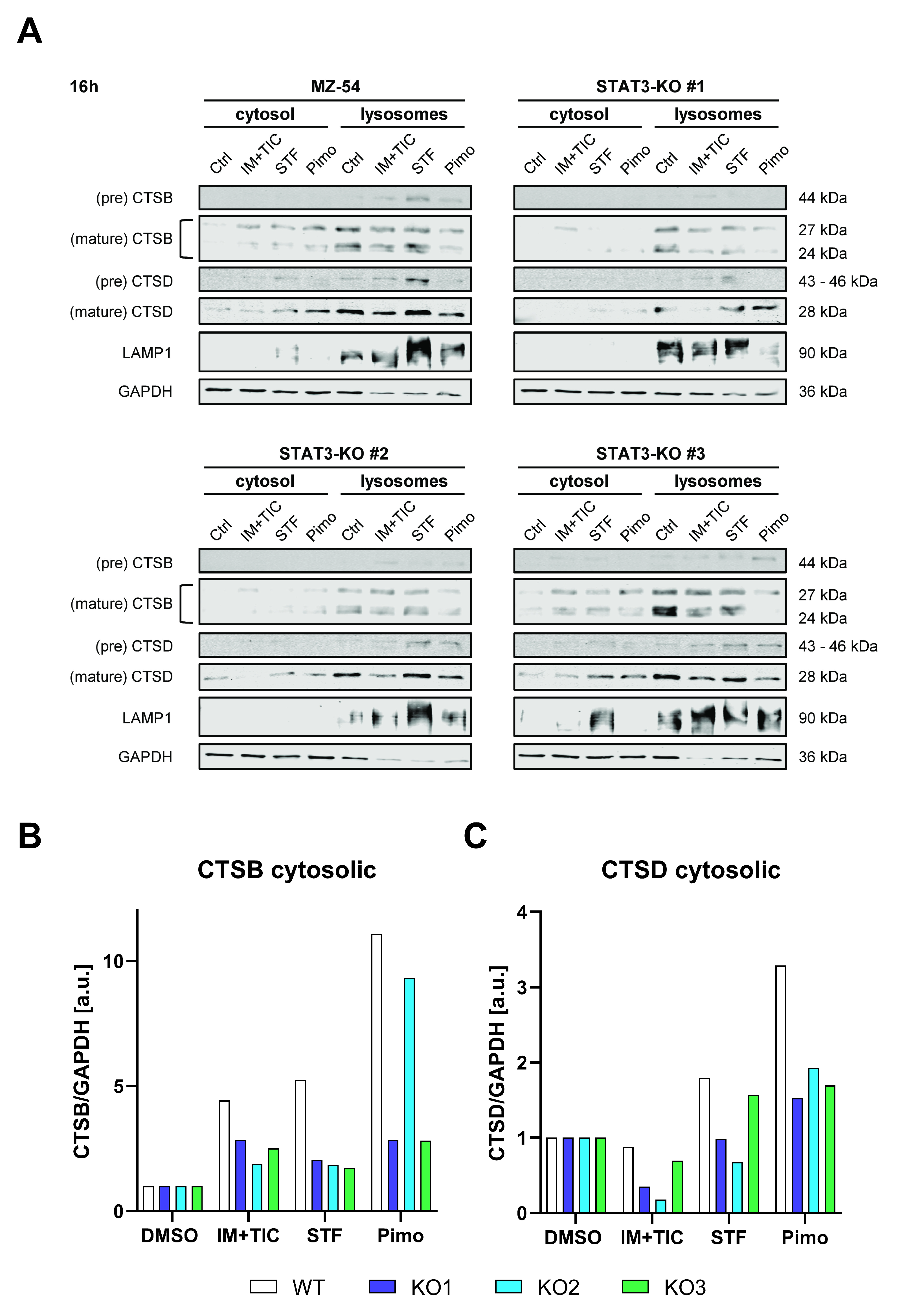 Cancers 14 00339 g006