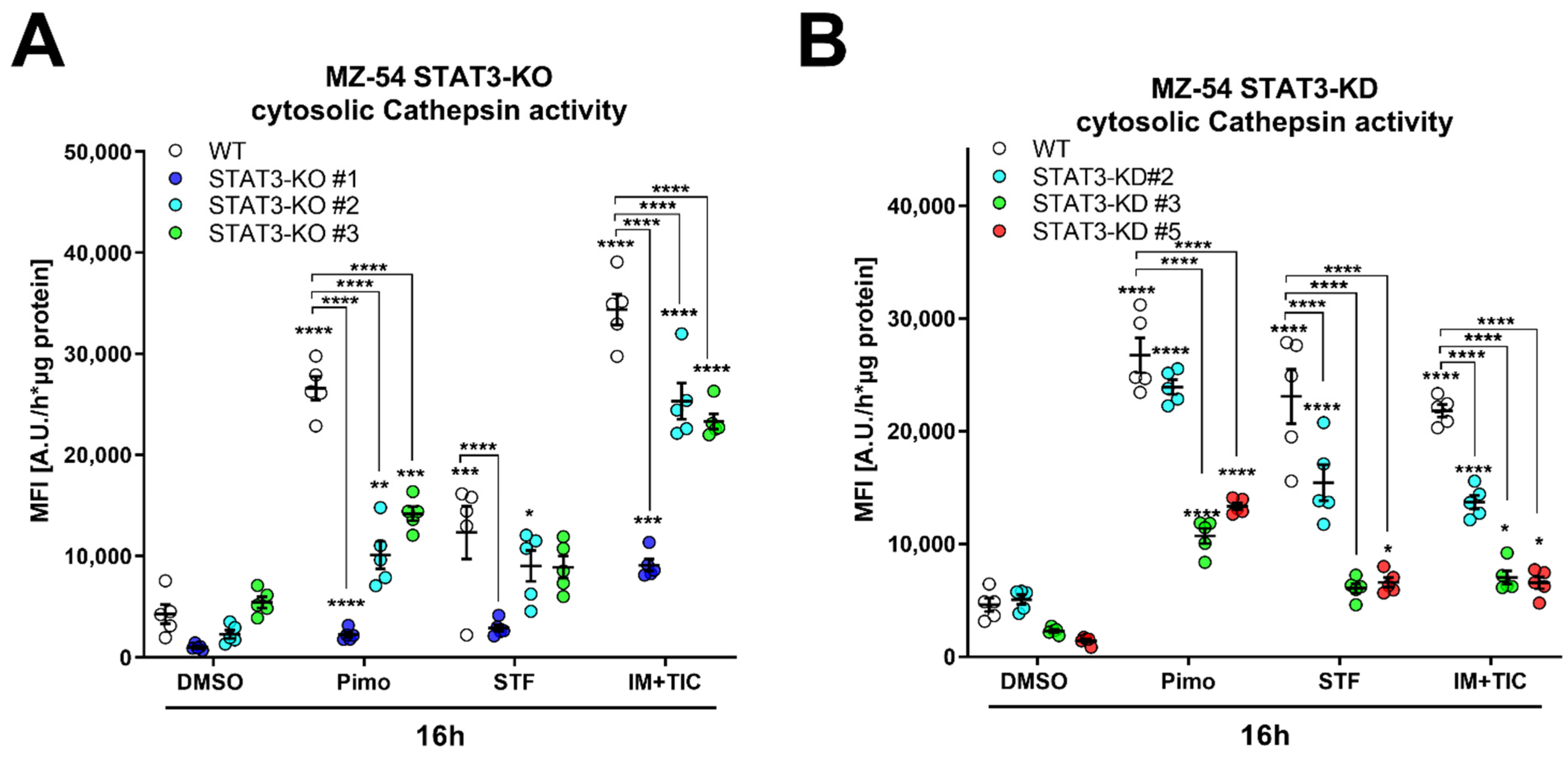 Cancers 14 00339 g007a
