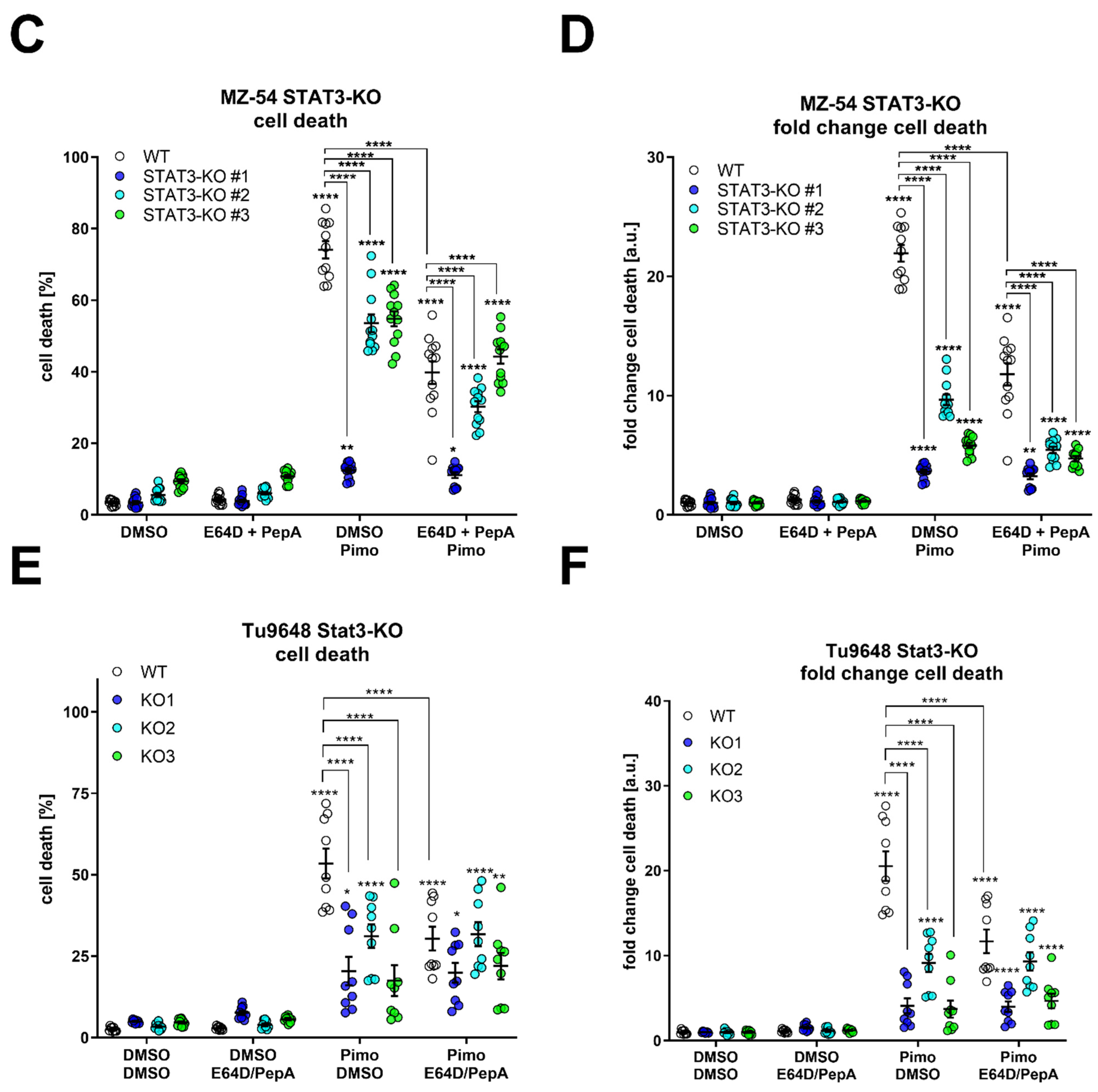 Cancers 14 00339 g007b