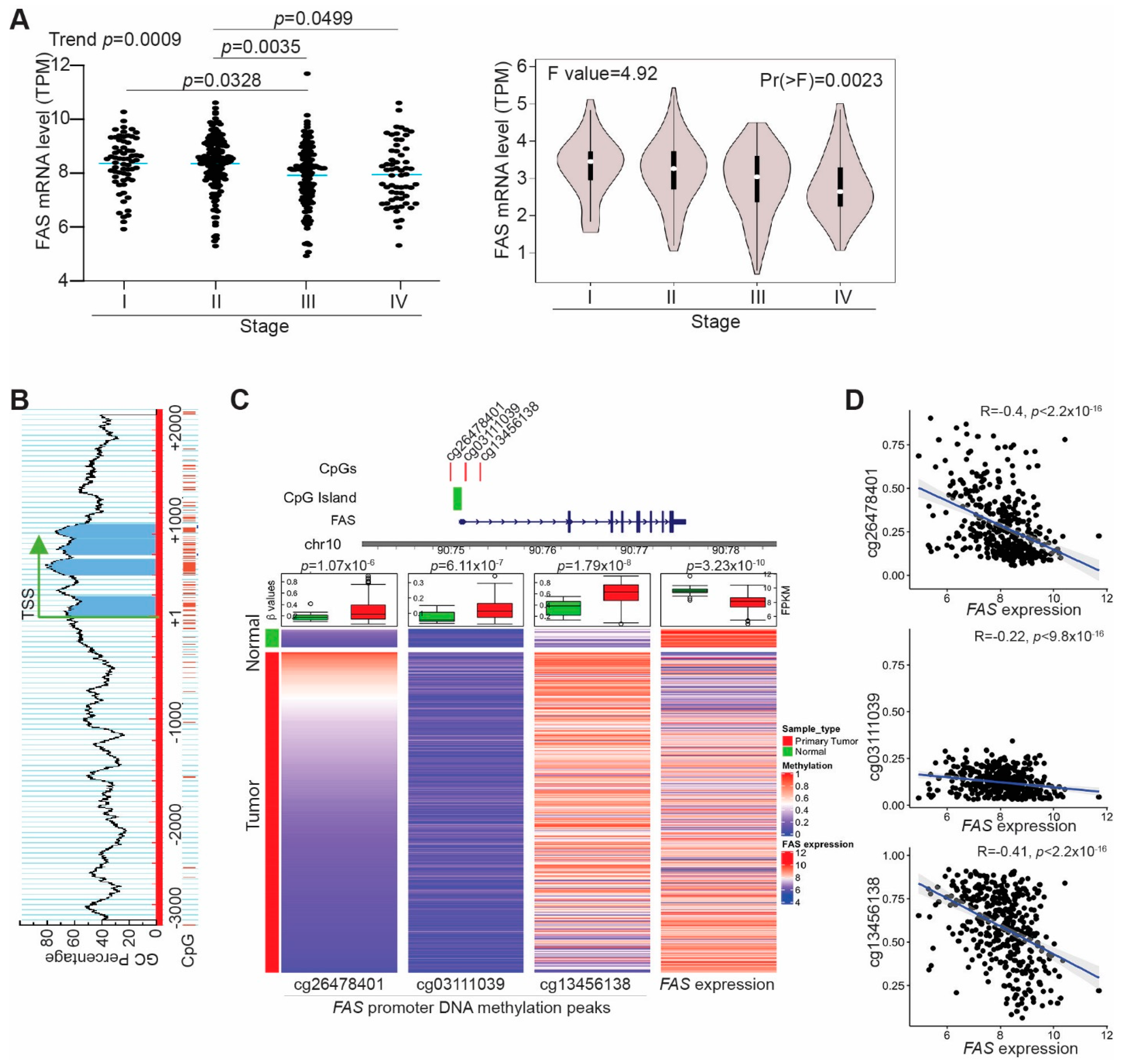 Cancers 14 00361 g001