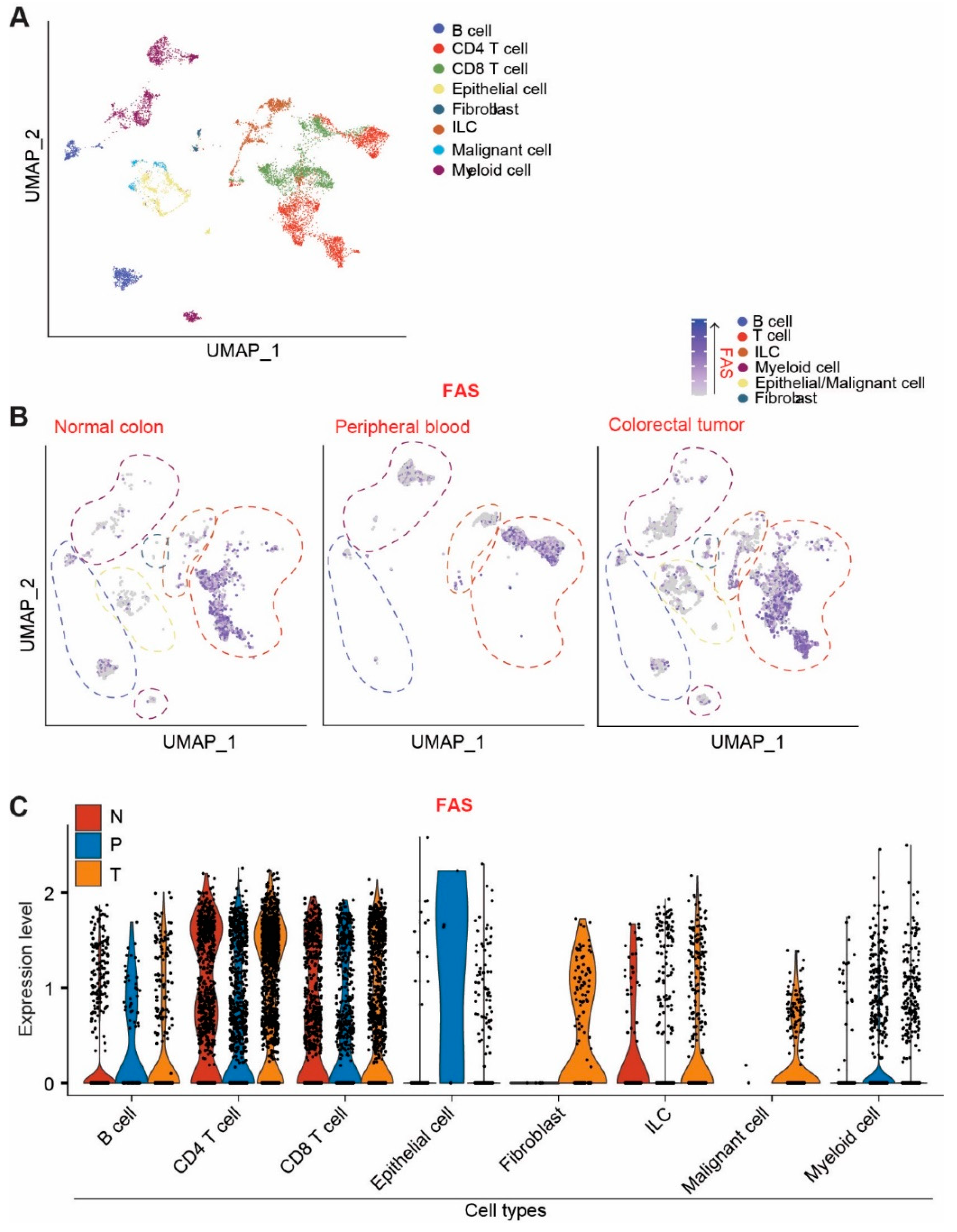 Cancers 14 00361 g002