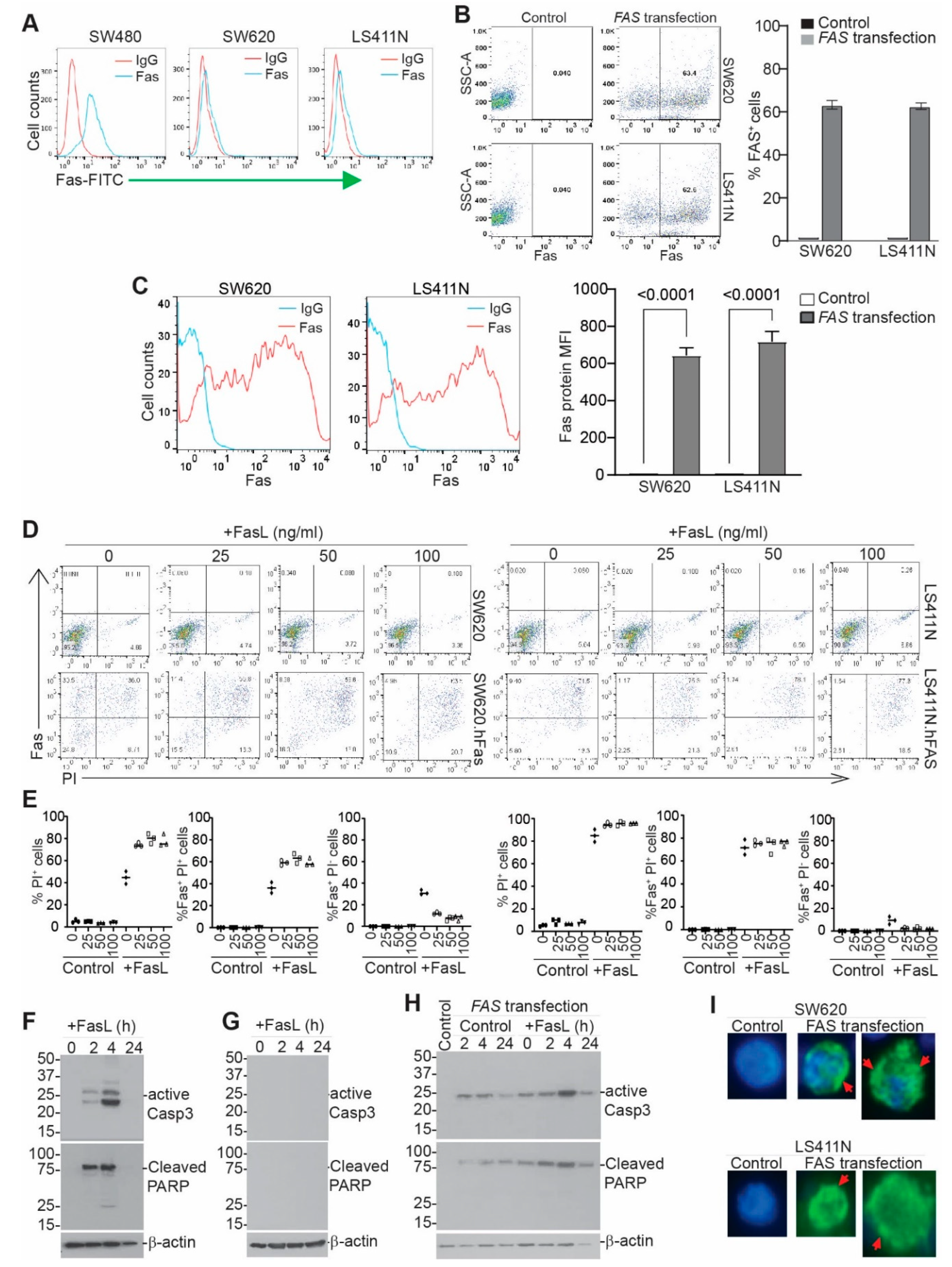 Cancers 14 00361 g006