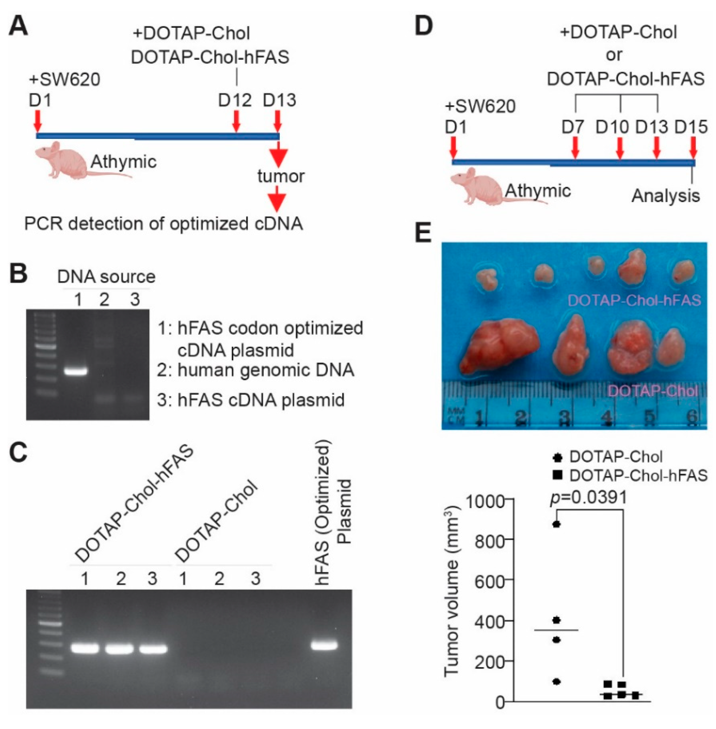 Cancers 14 00361 g007