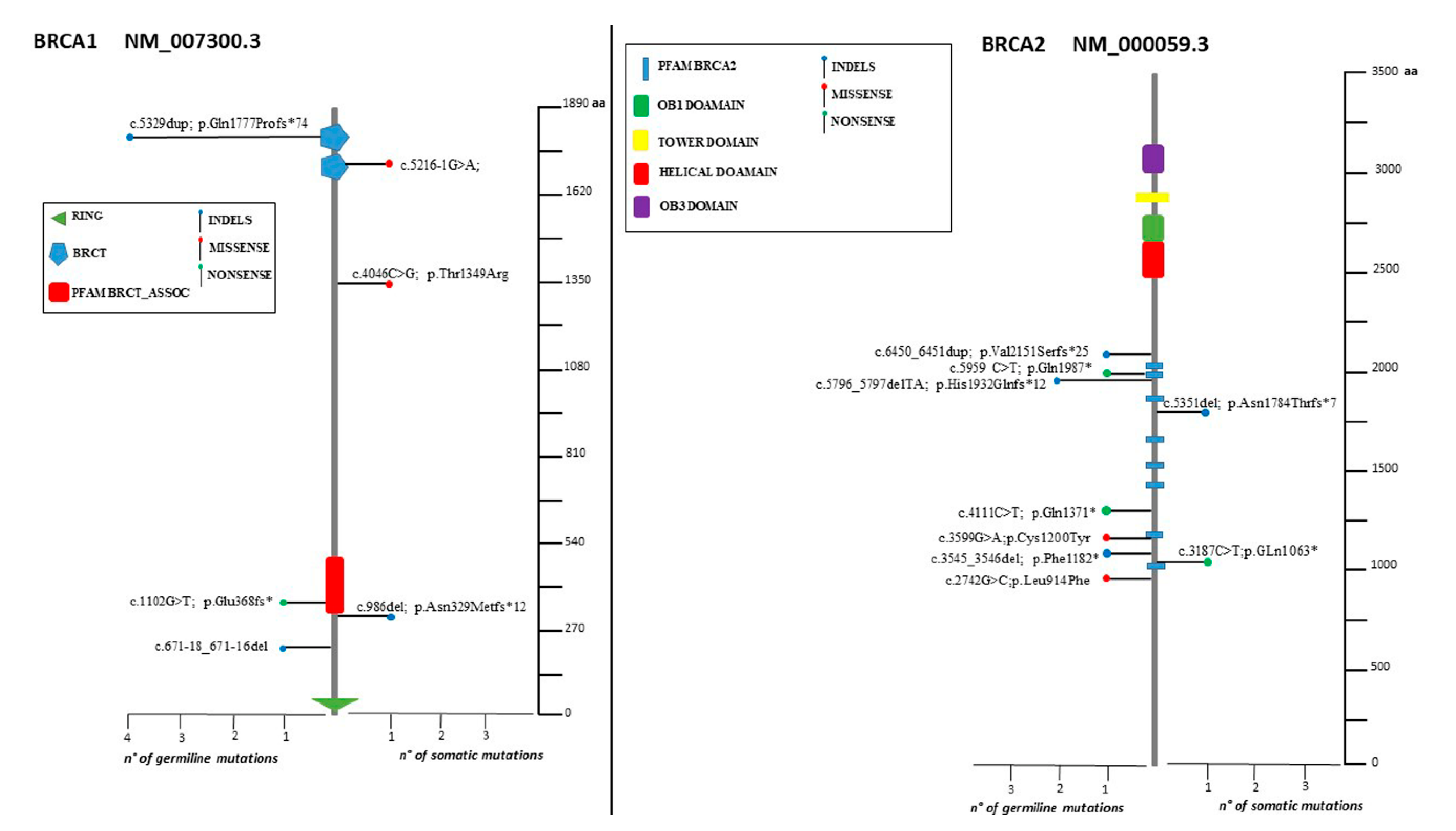 Cancers 14 00365 g002