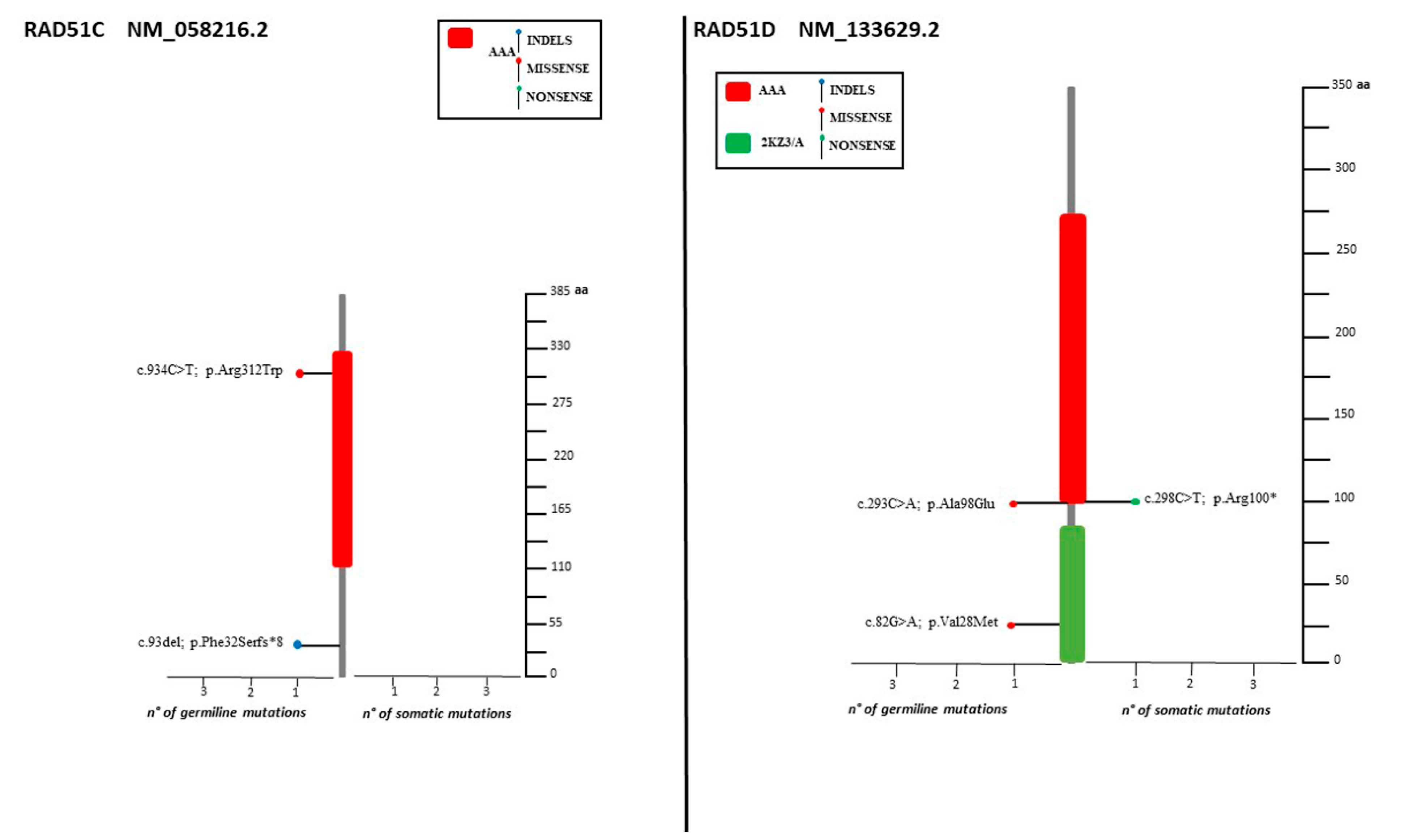 Cancers 14 00365 g004