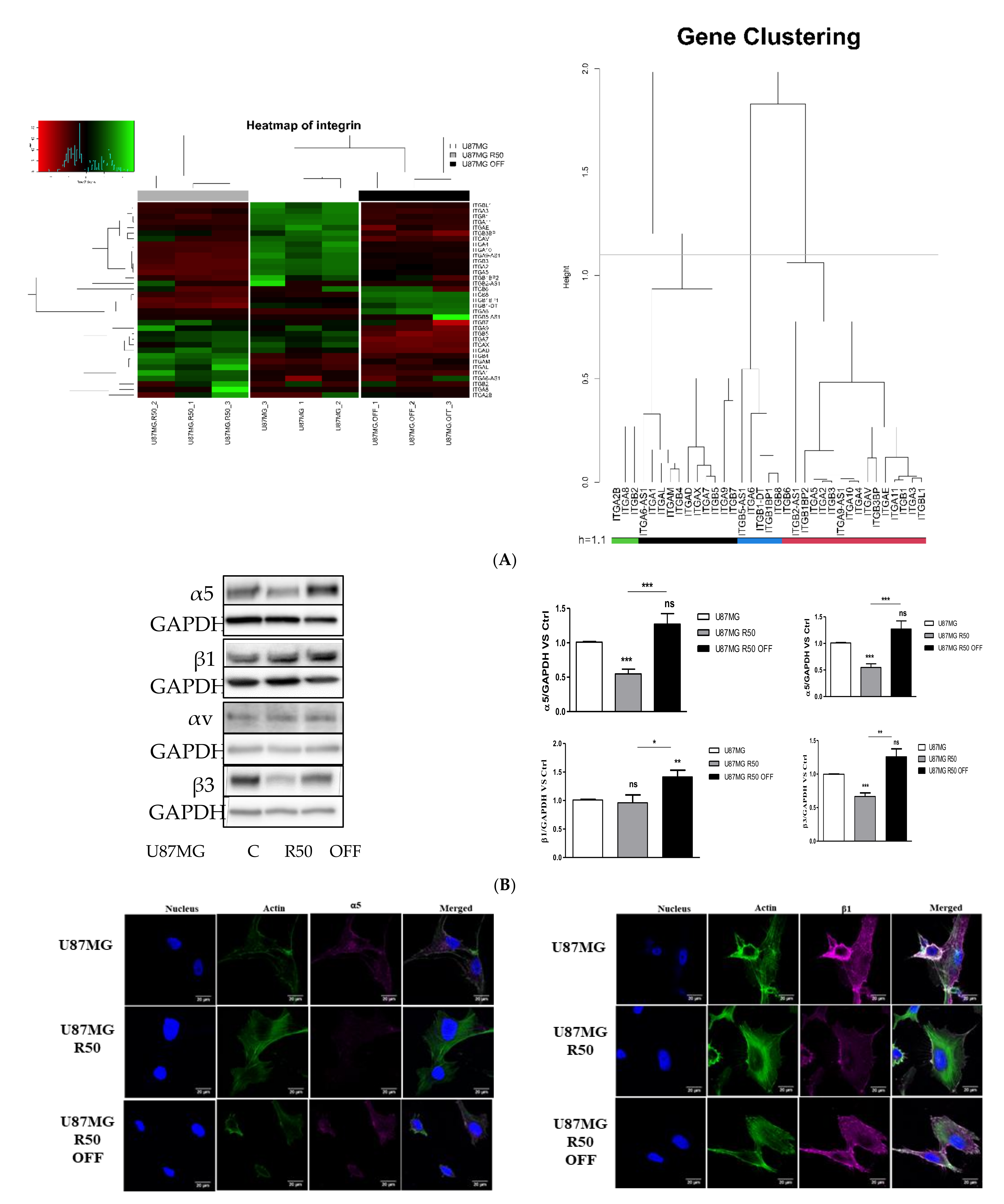 Cancers 14 00369 g004a