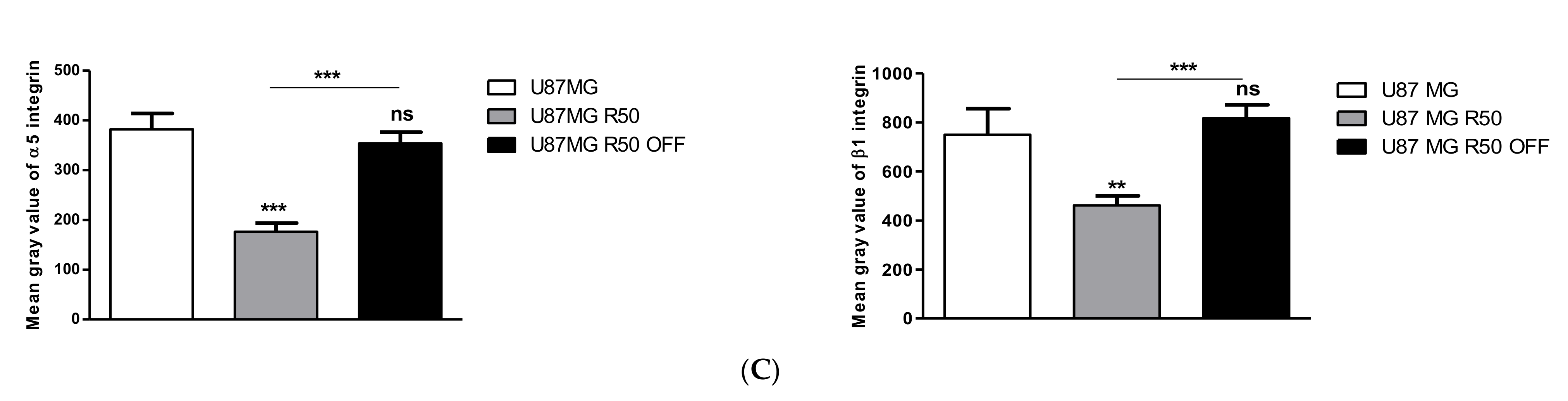 Cancers 14 00369 g004b
