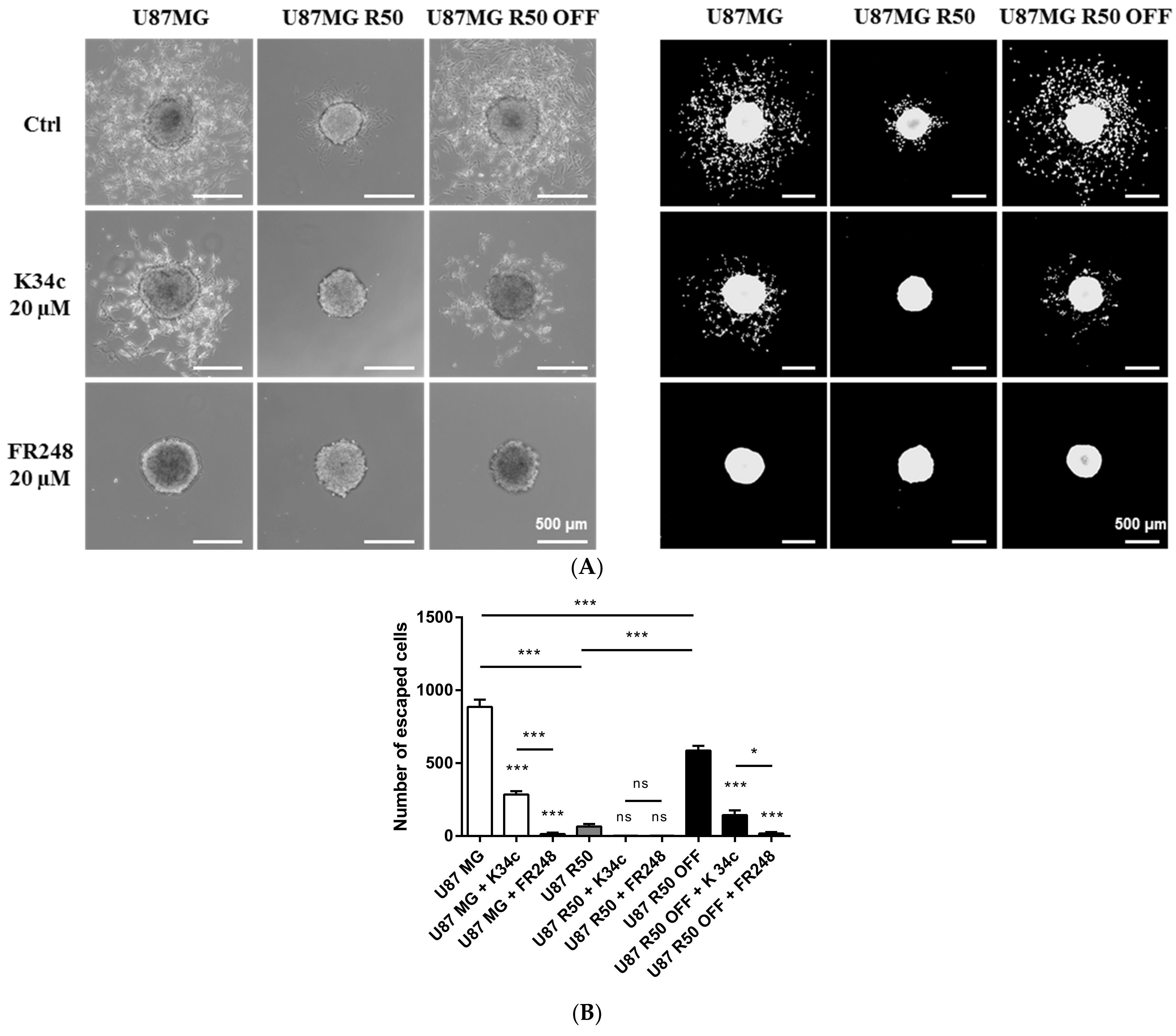 Cancers 14 00369 g006a