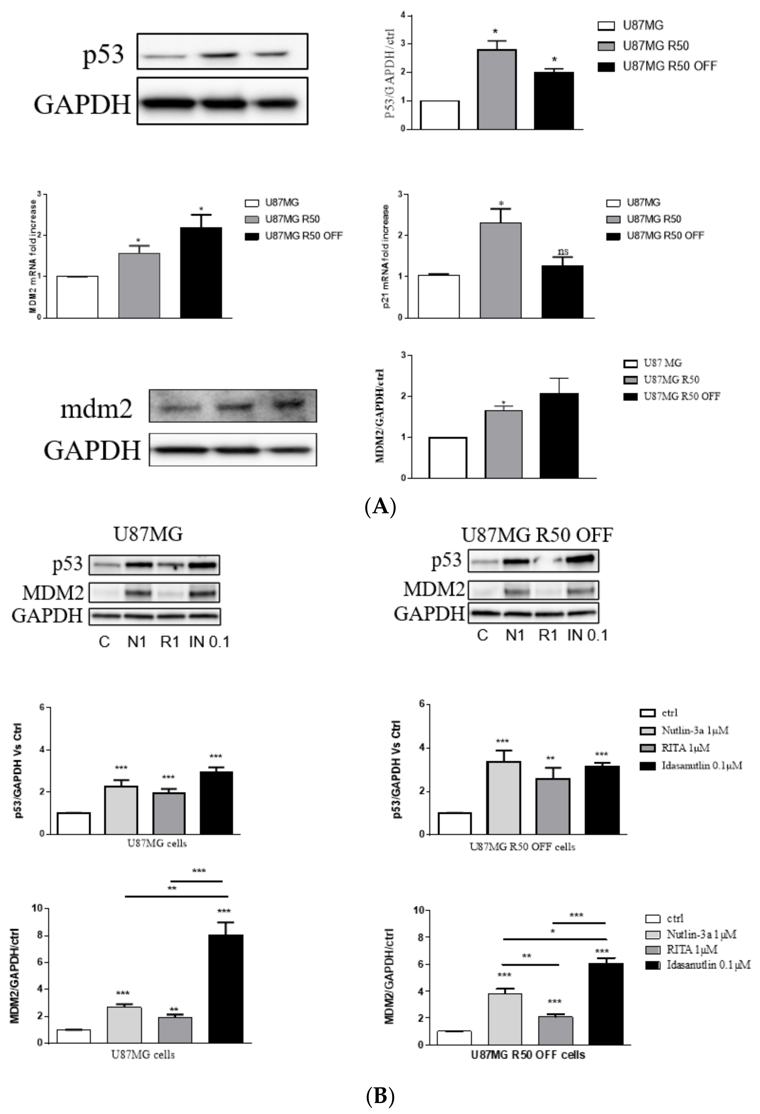 Cancers 14 00369 g007