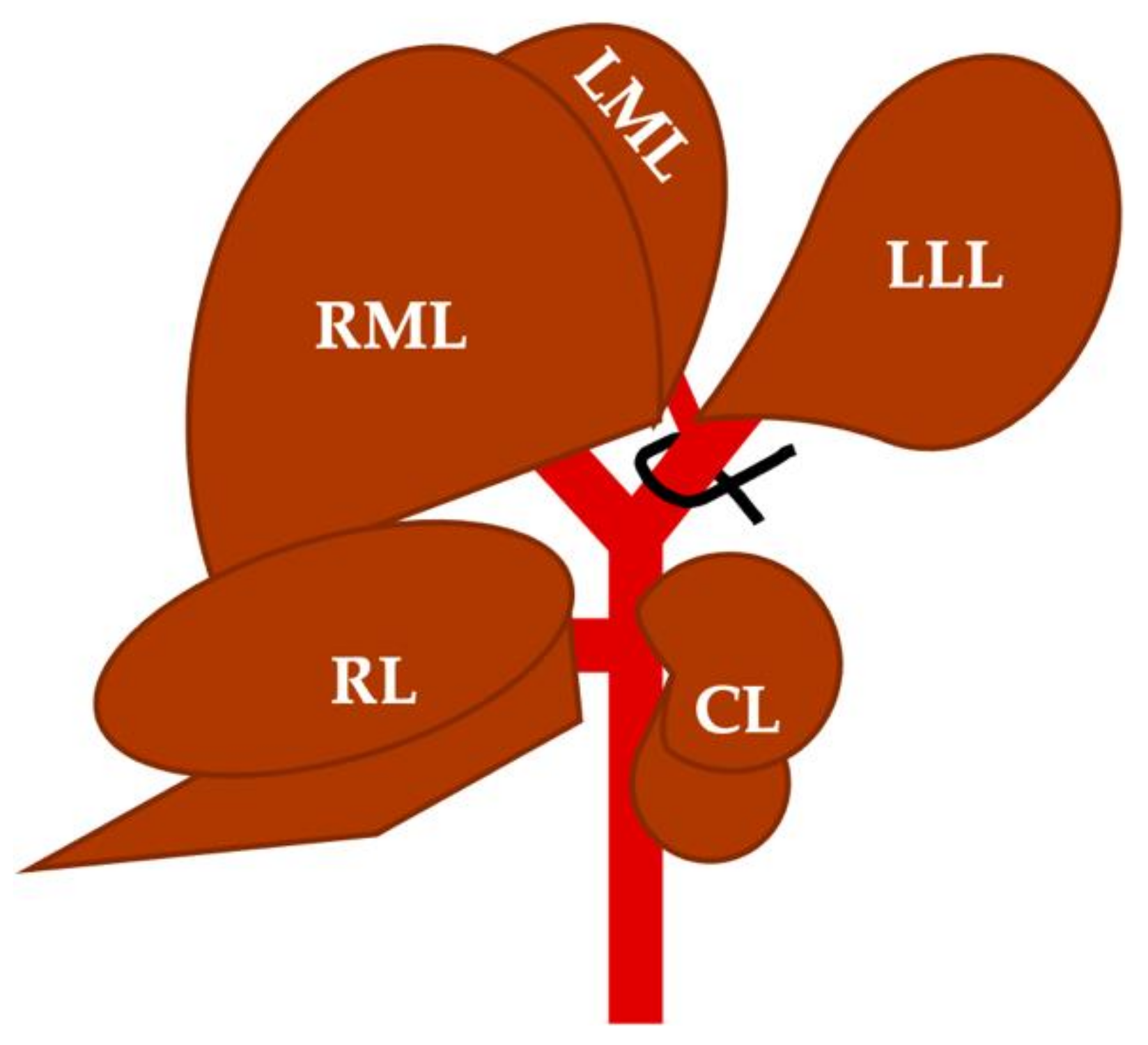 Cancers 14 00371 g001