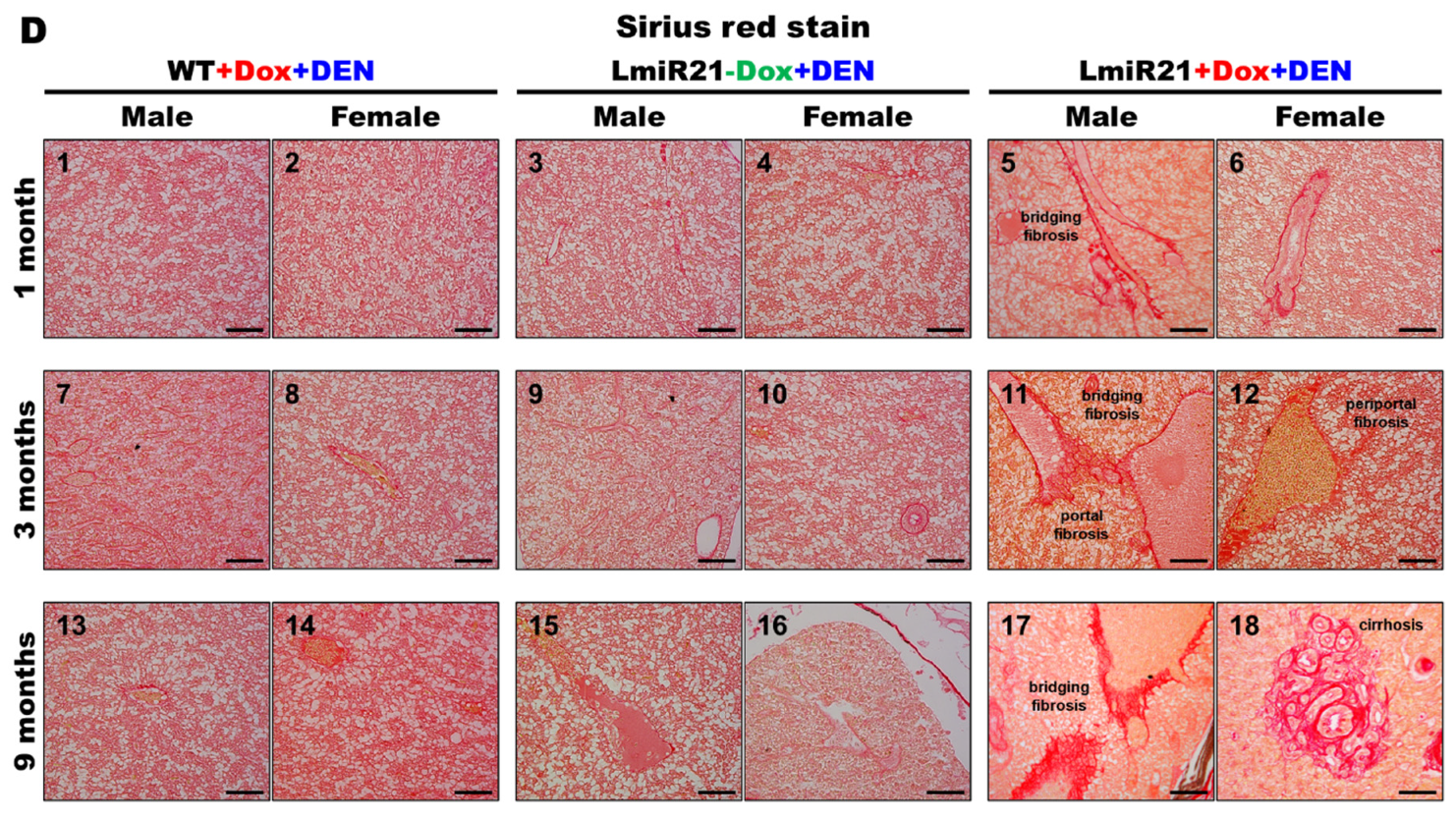 Cancers 14 00372 g001b