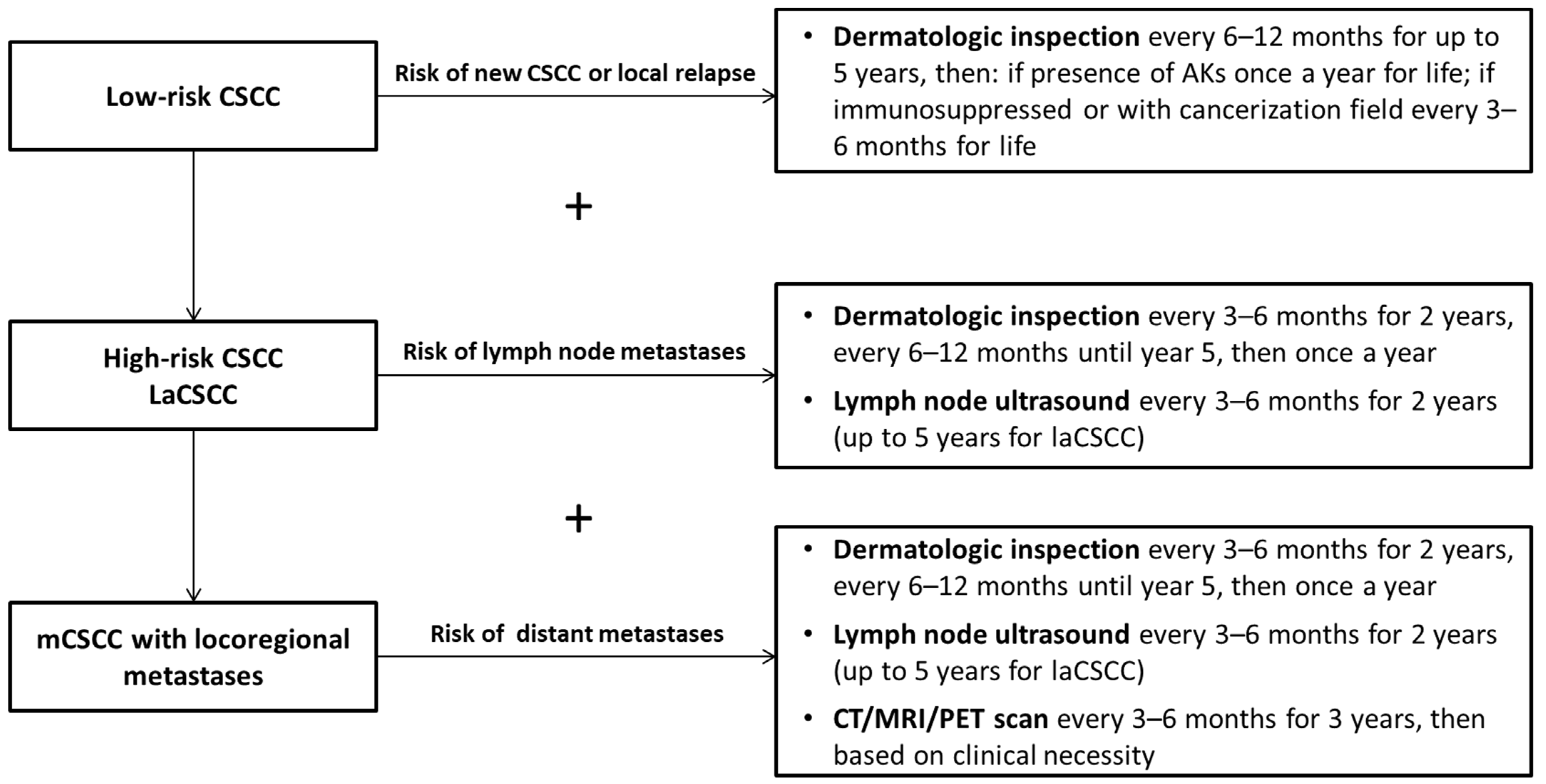 Cancers 14 00377 g002