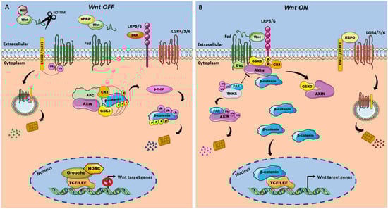 Cancers 14 00403 g001