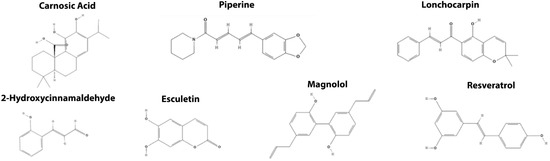 Cancers 14 00403 g006