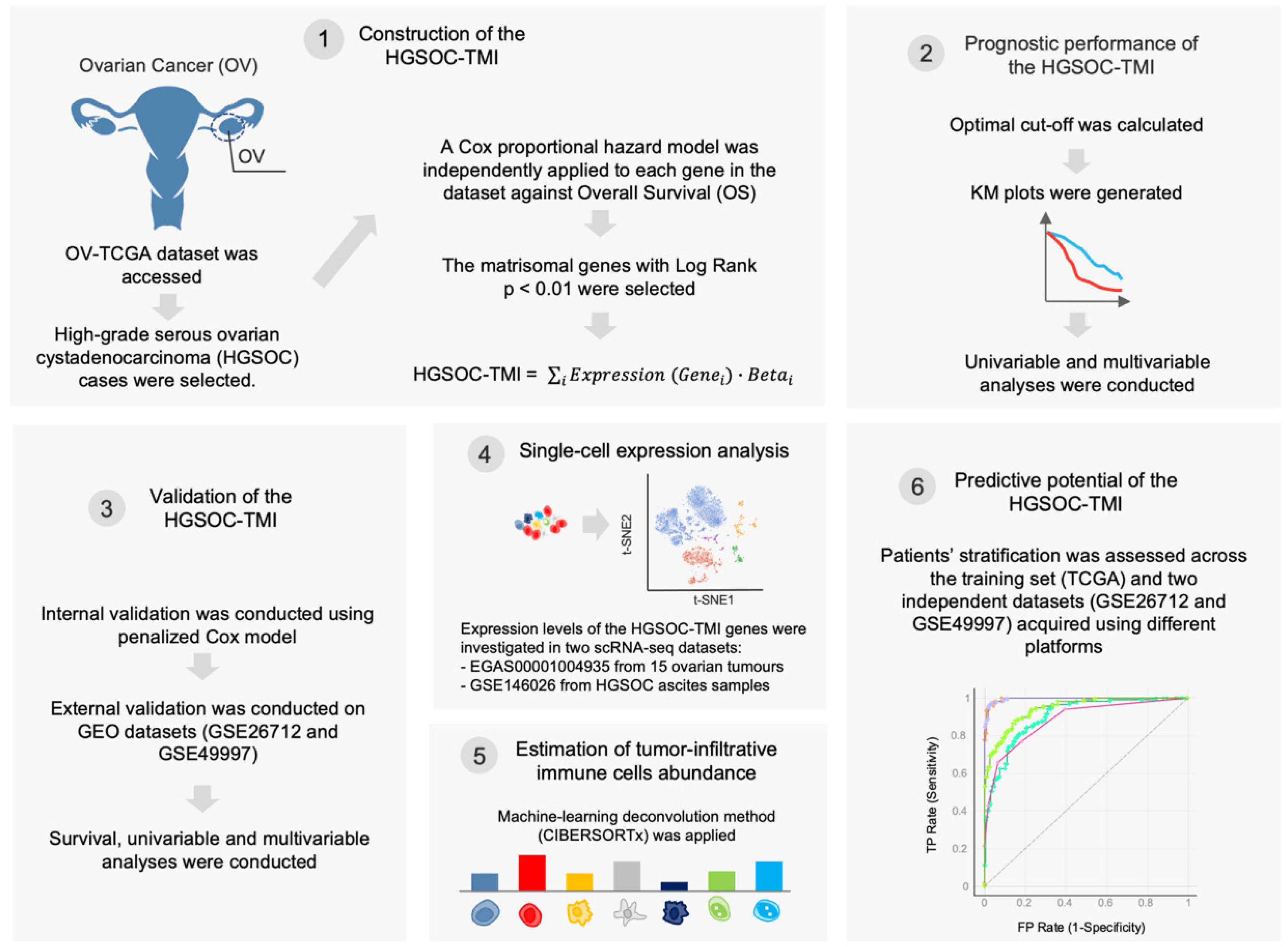 Cancers 14 00404 g001