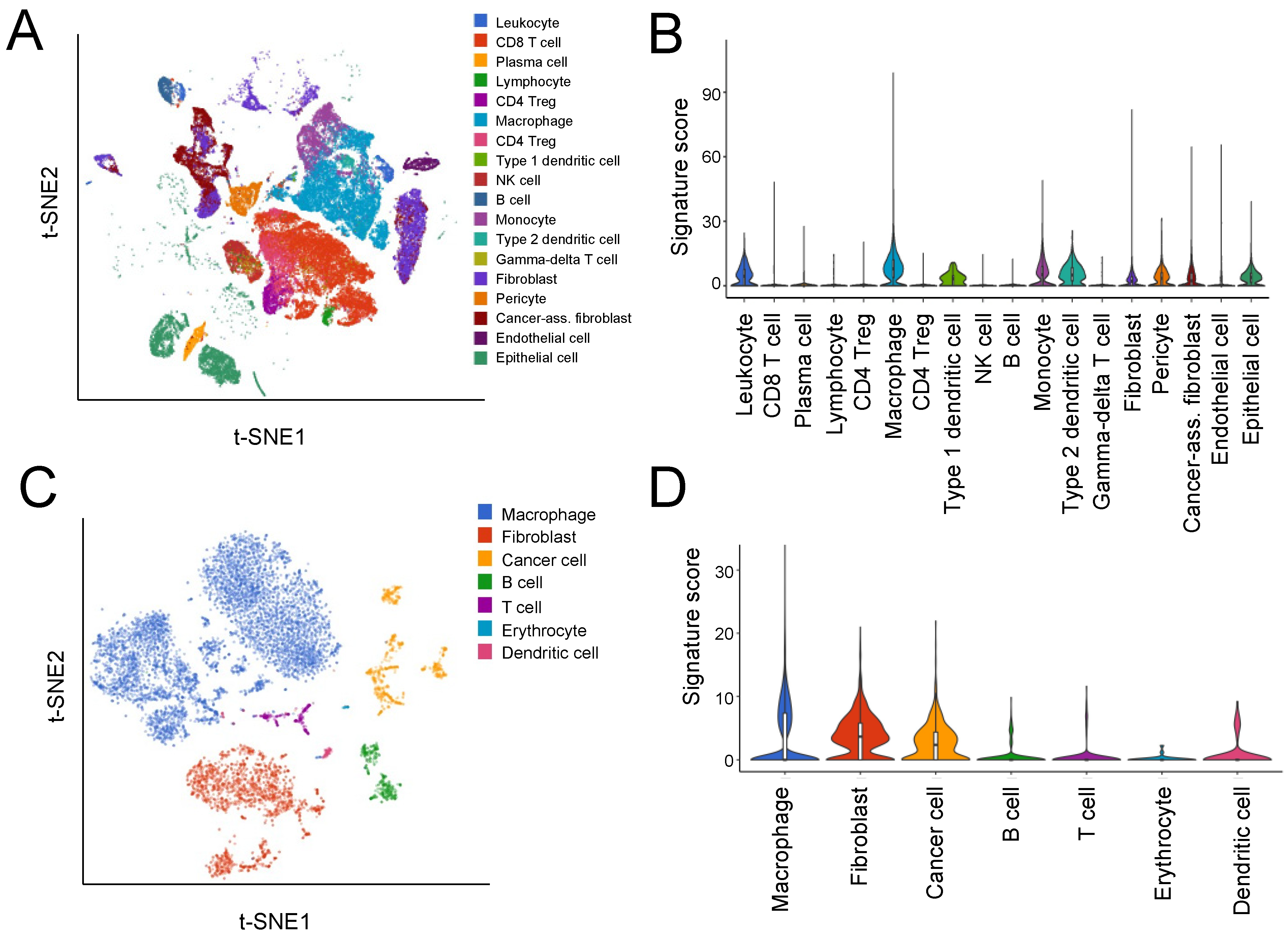 Cancers 14 00404 g003