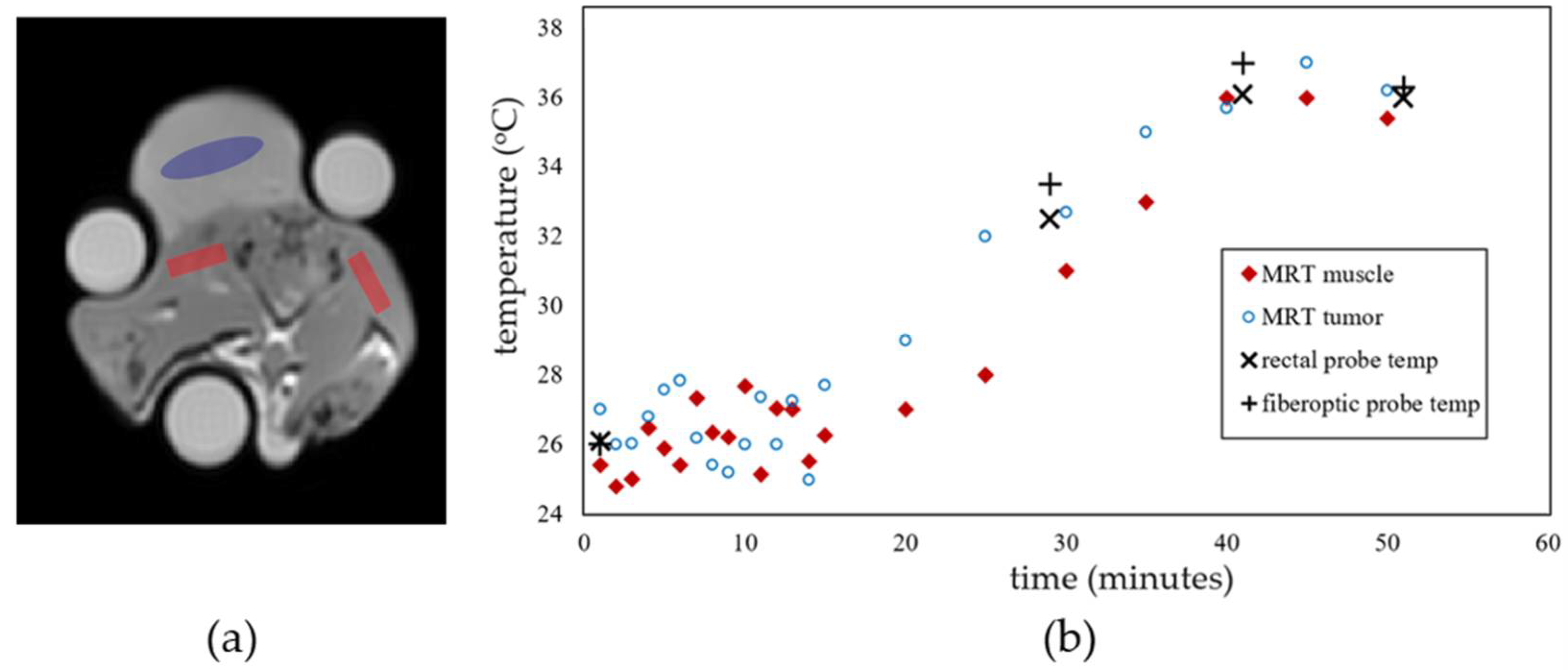 Cancers 14 00405 g003