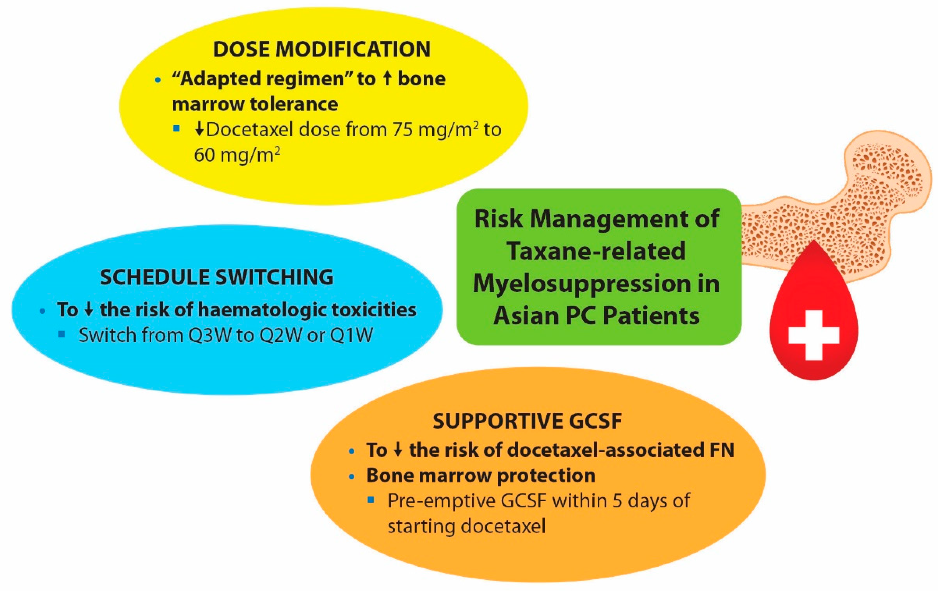 Cancers 14 00407 g002