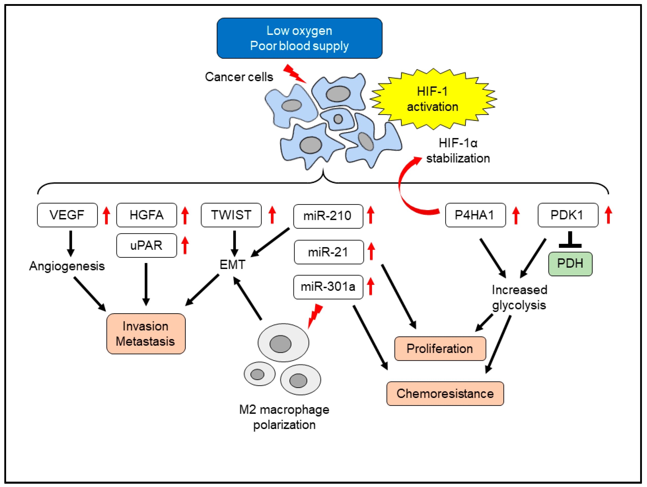 Cancers 14 00411 g001