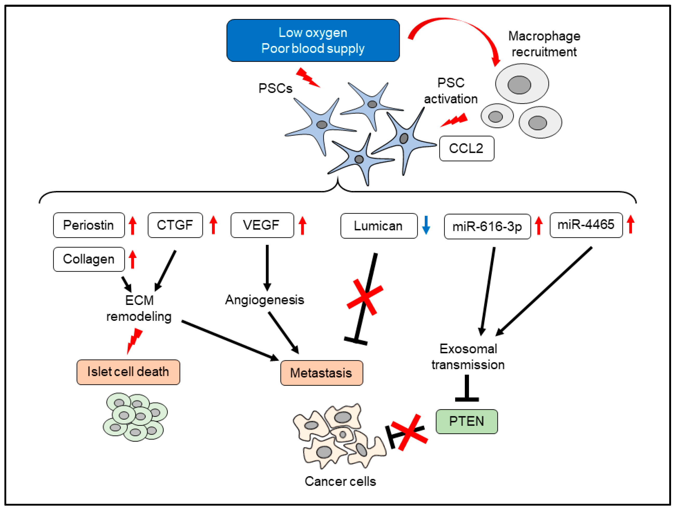 Cancers 14 00411 g002