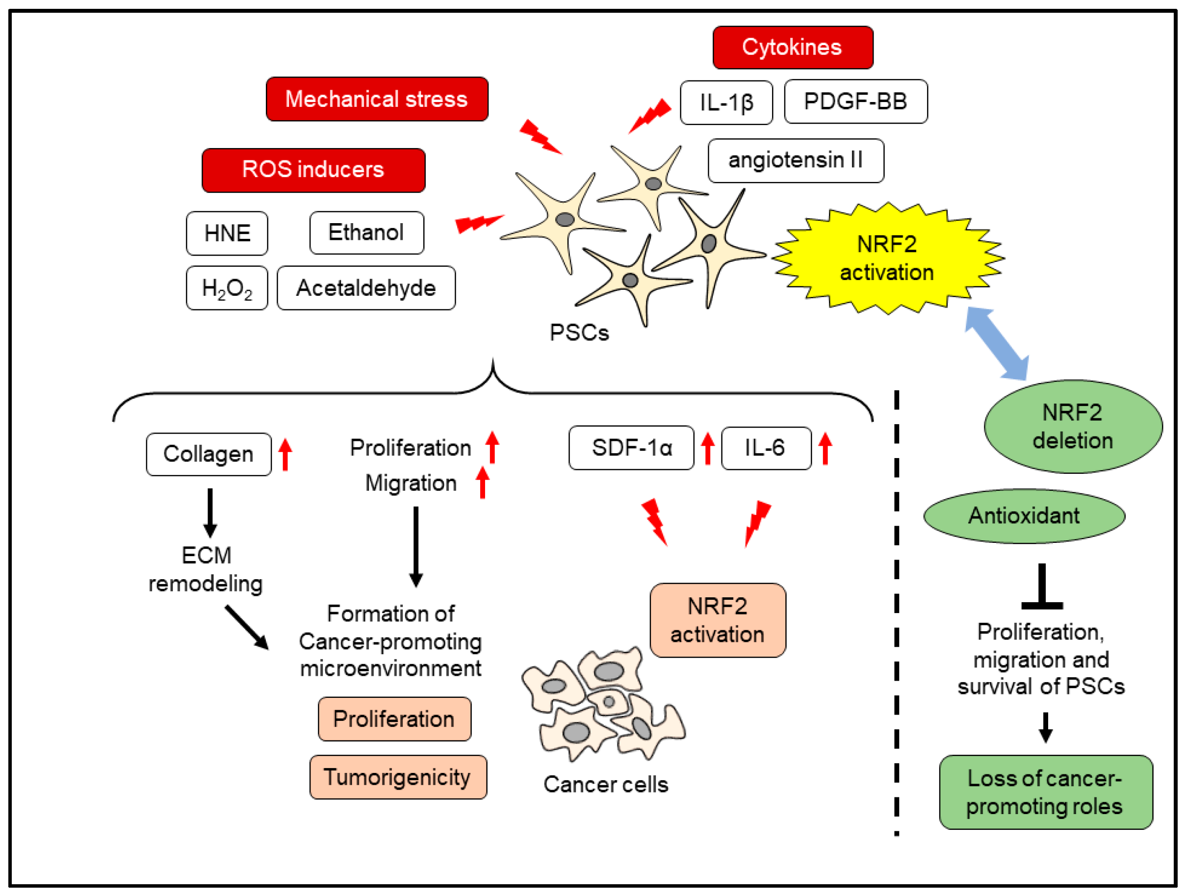 Cancers 14 00411 g005