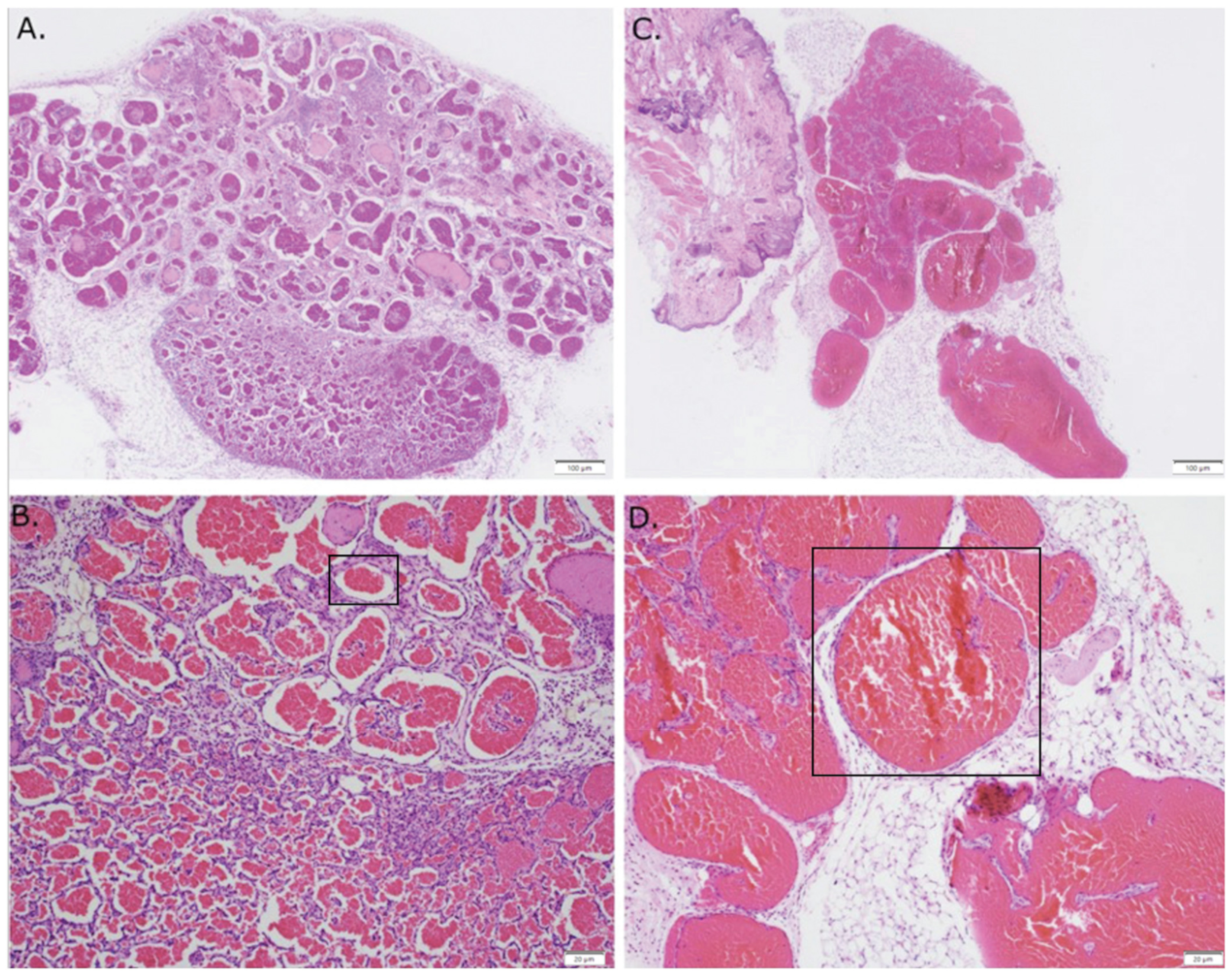 Cancers 14 00413 g006