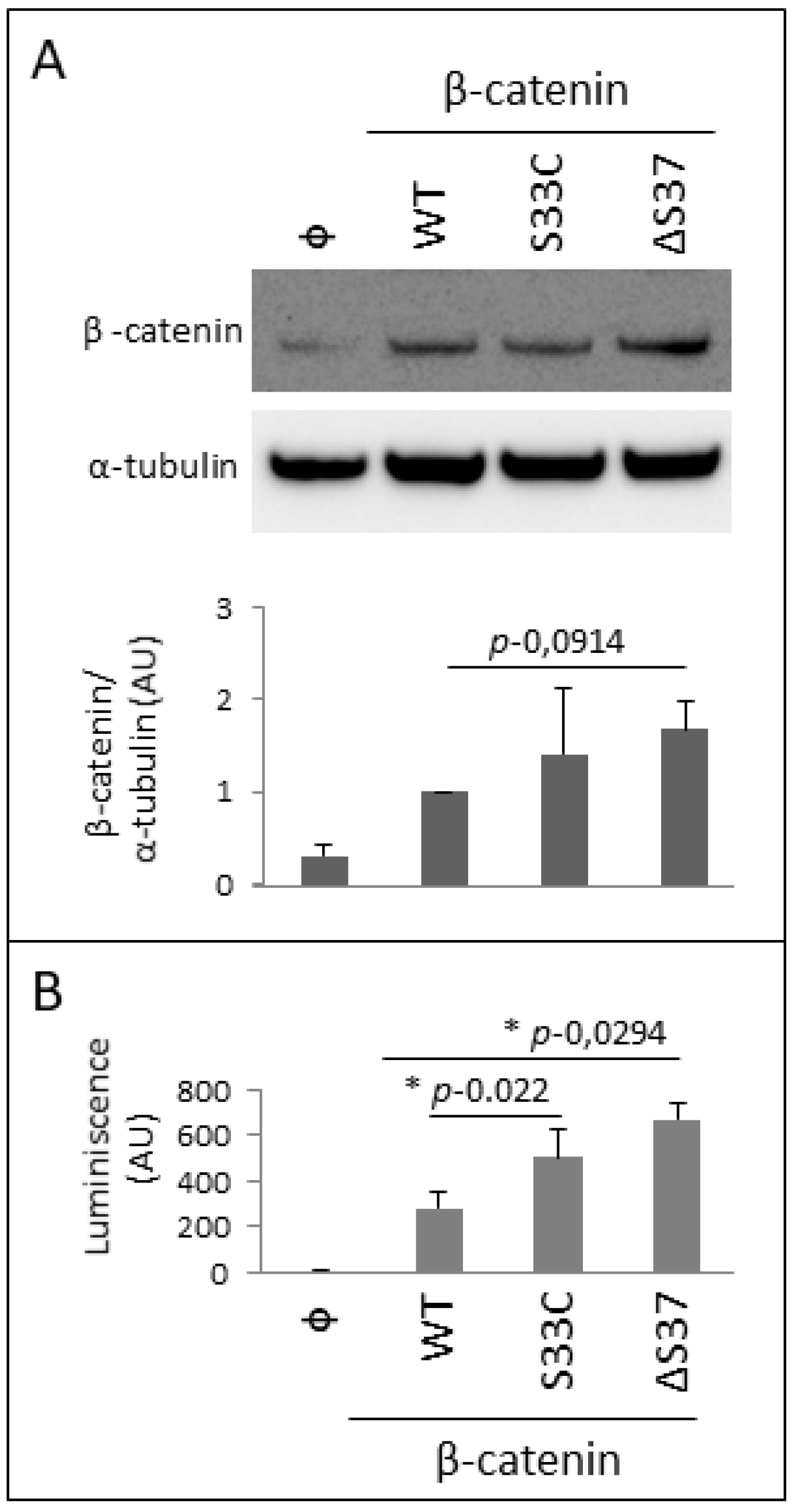 Cancers 14 00421 g006