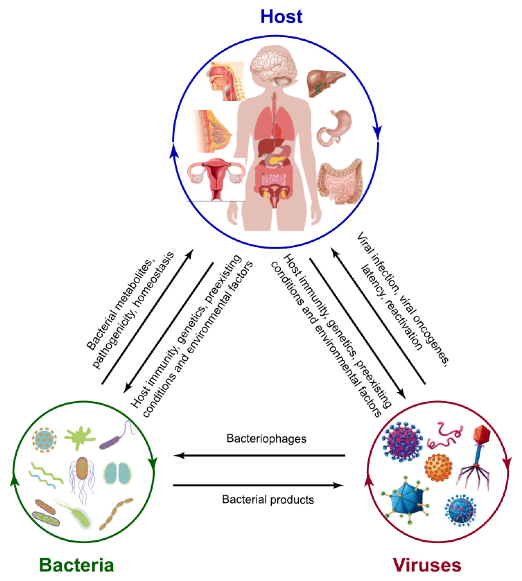 Cancers 14 00425 g002