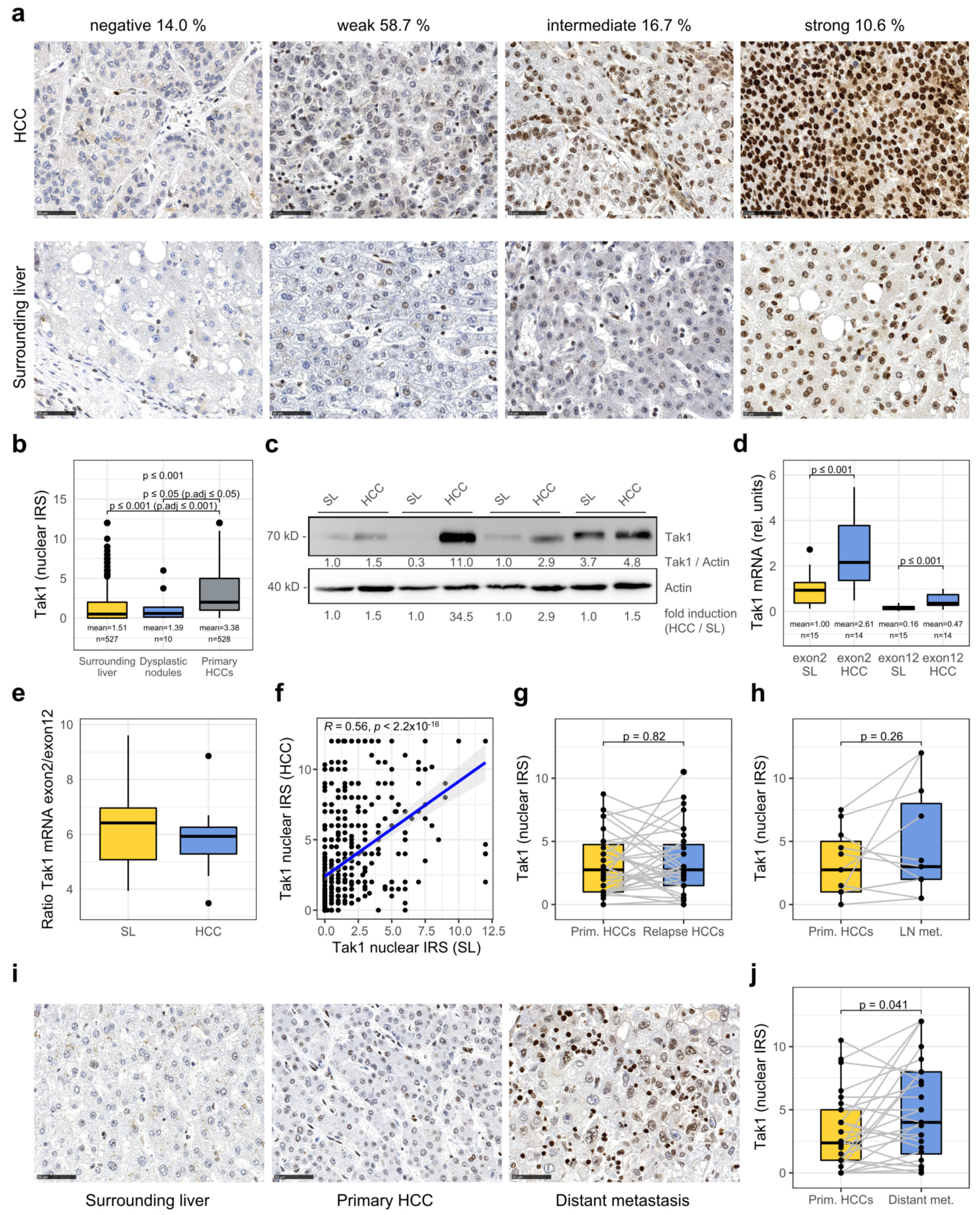 Cancers 14 00430 g001